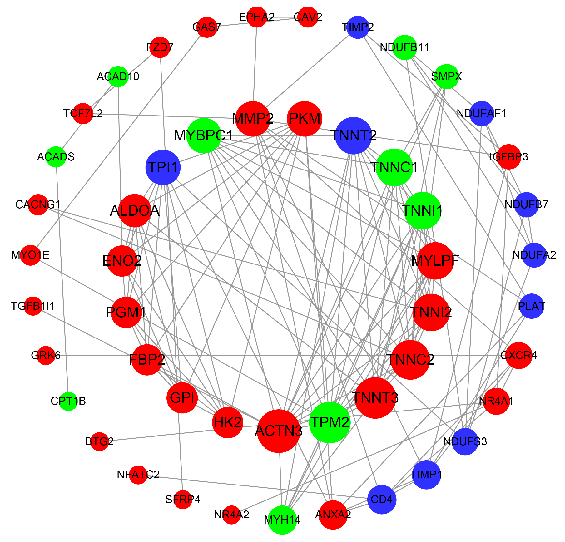 Genes 13 01610 g004 550