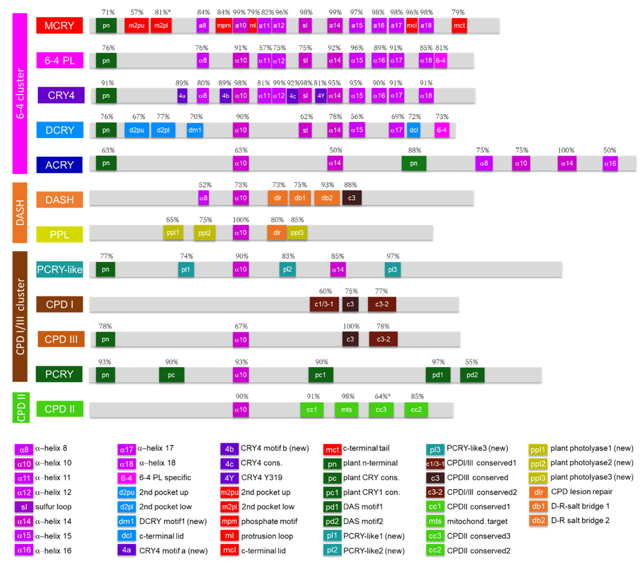 Genes 13 01613 g003 Genes 13 01613 g003