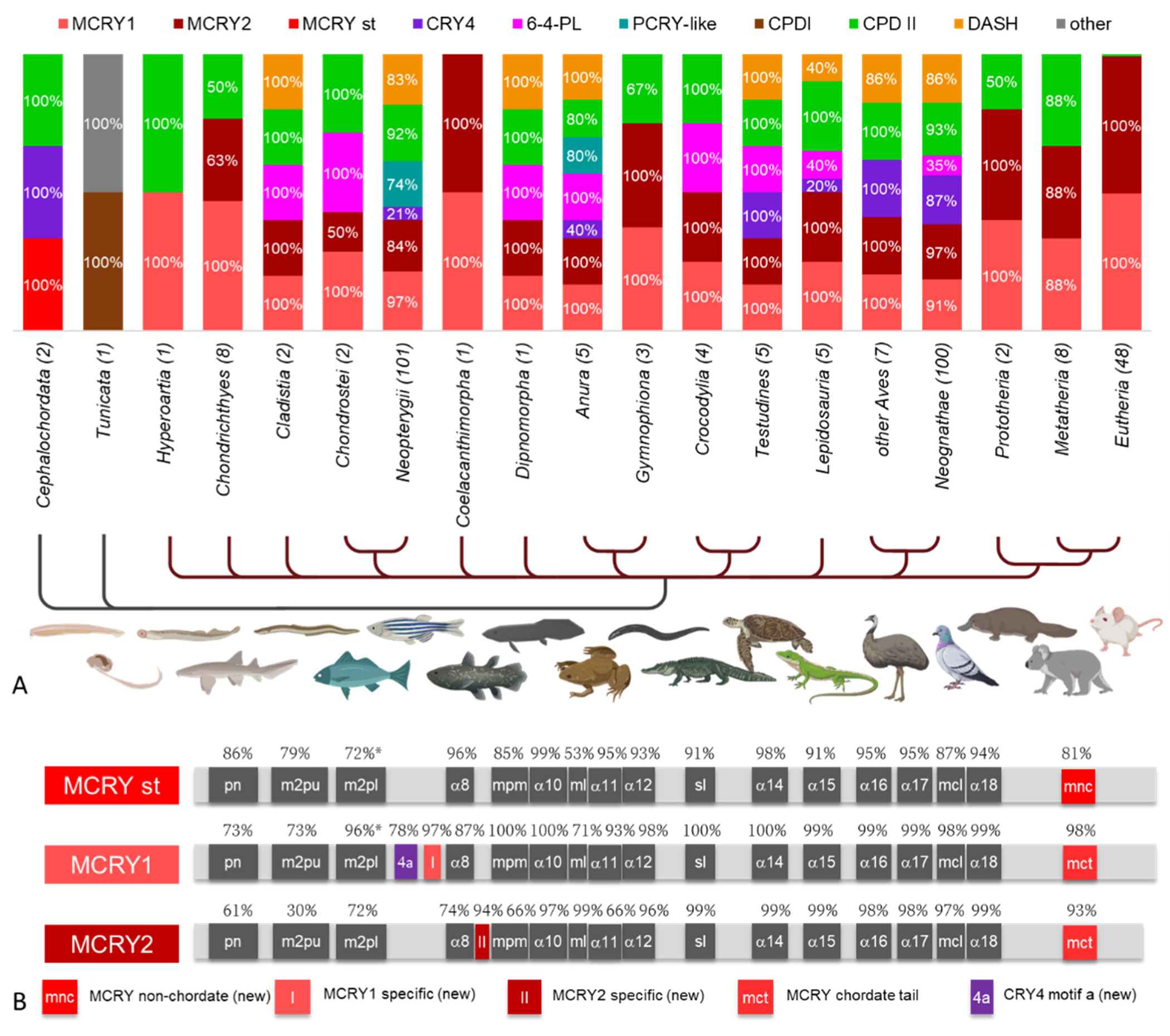 Genes 13 01613 g005 Genes 13 01613 g005