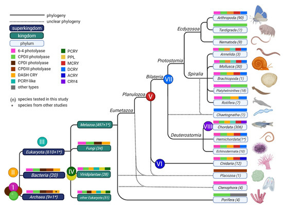 ^._.^ Zx 700 Hd Adidas Zx Black Adidas Zx 750, 's Training In