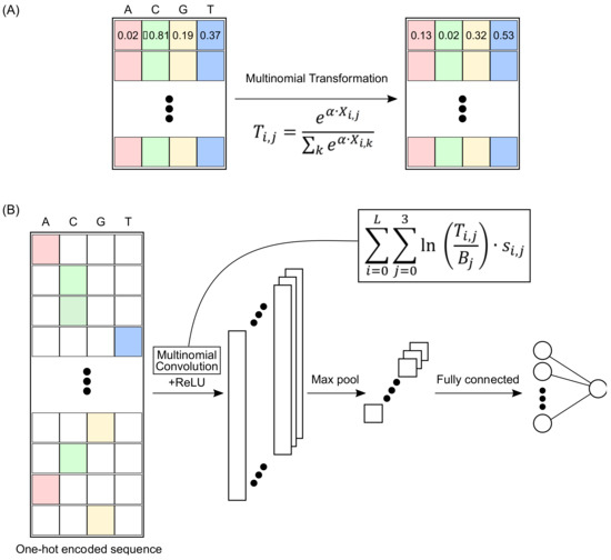 Genes Free FullText Multinomial Convolutions for Joint Modeling of