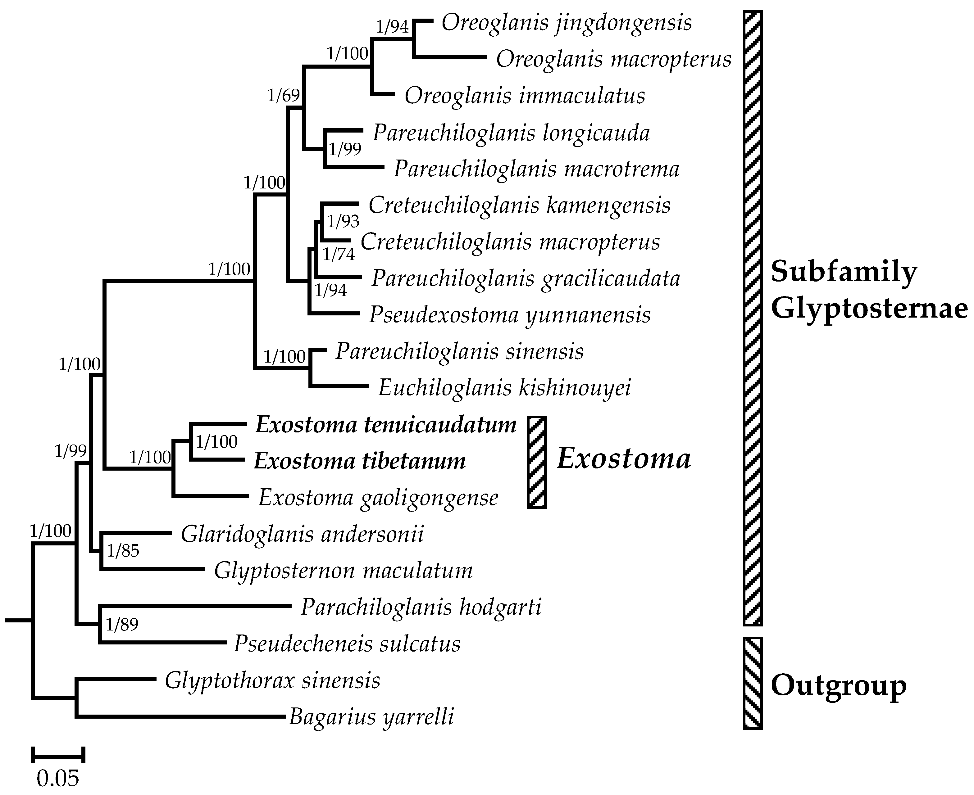 Genes 13 01615 g004 550