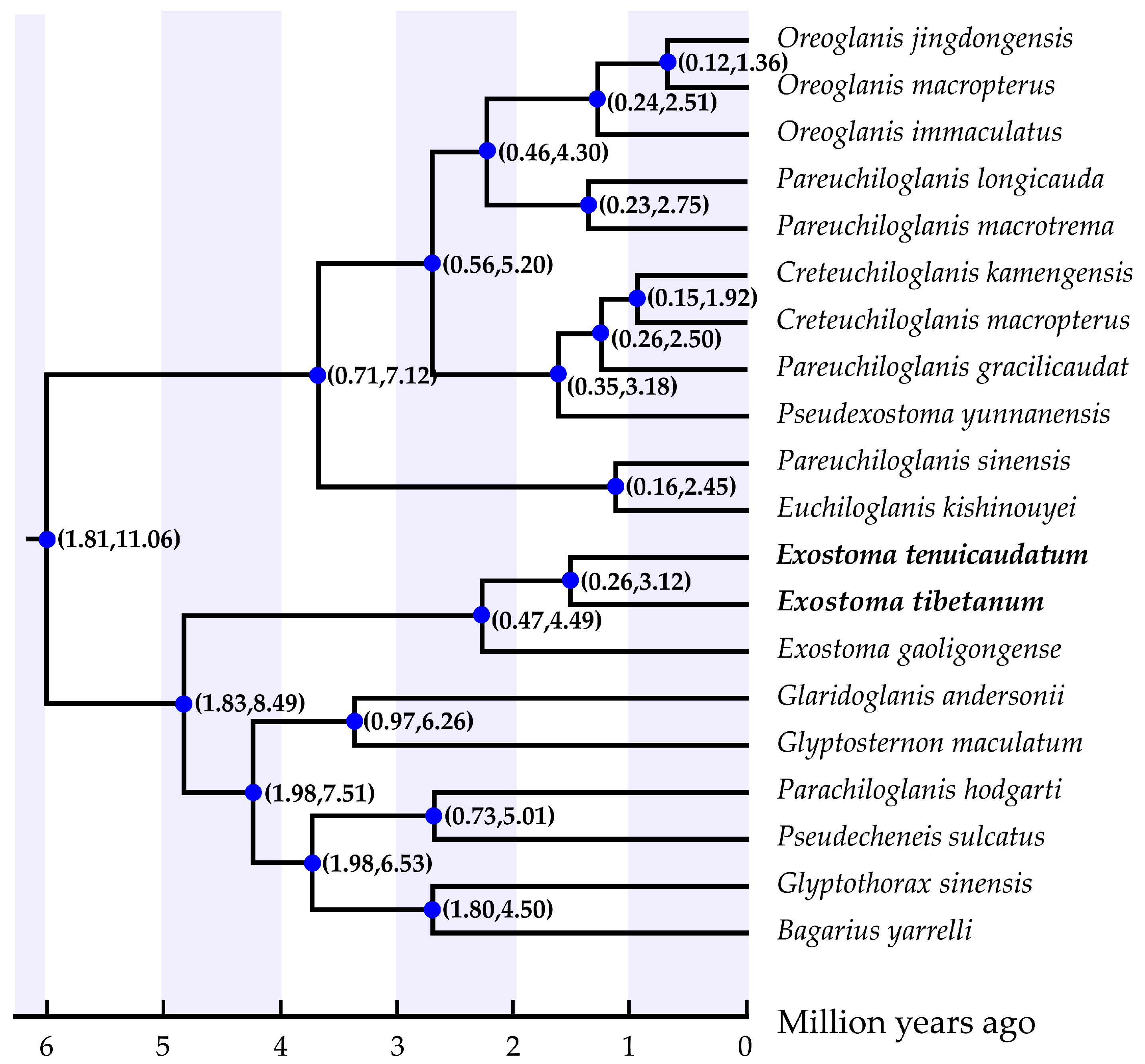 Genes 13 01615 g005 550