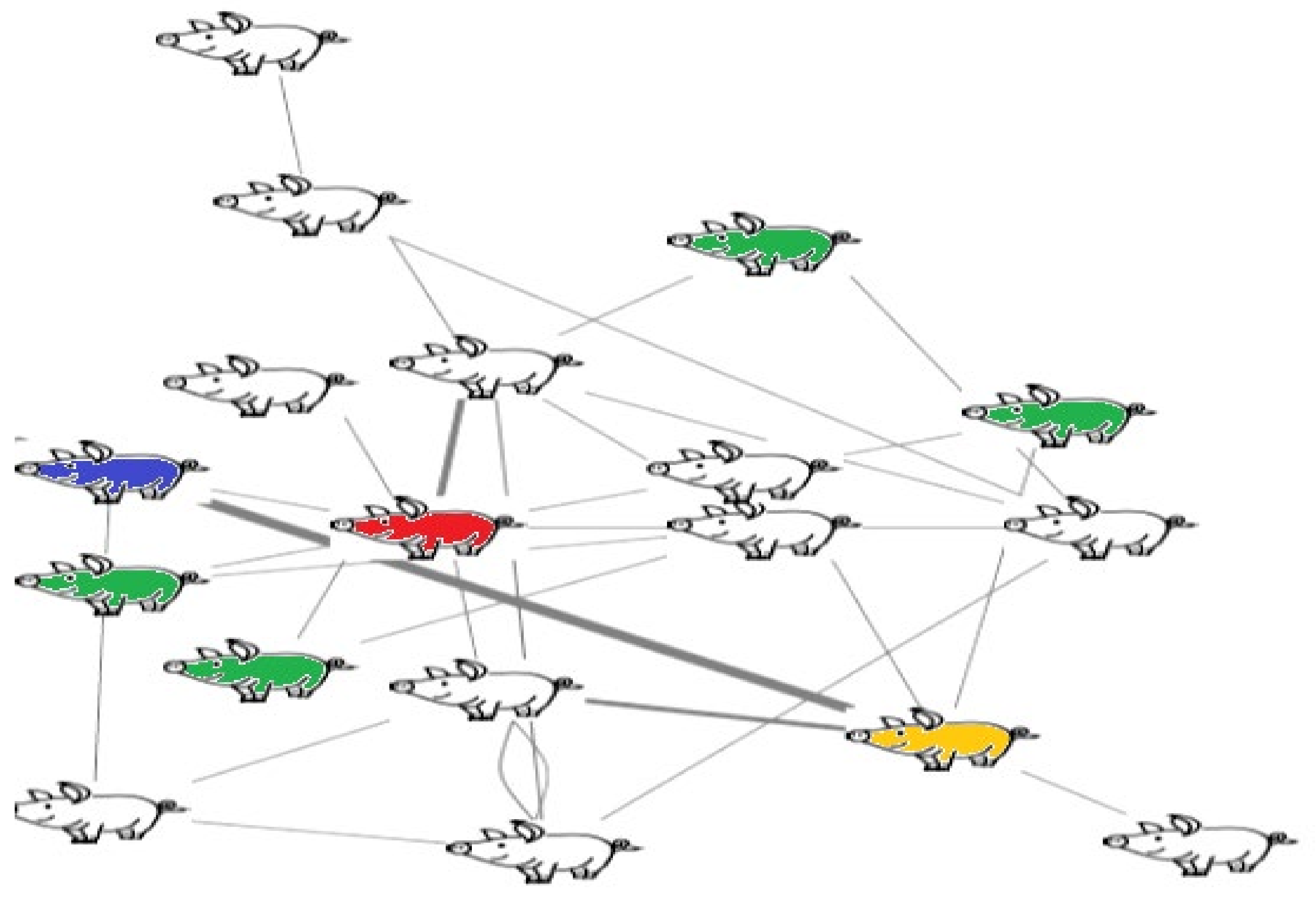 Genes 13 01616 g001 550