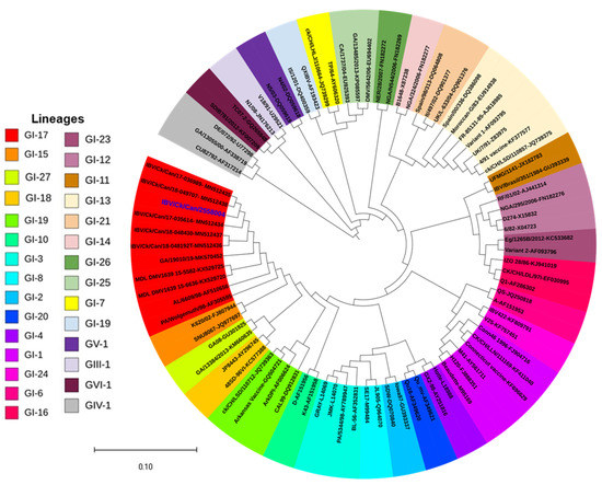 Genotyping and In Silico Analysis of Delmarva (DMV/1639 Genotyping and In Silico Analysis of Delmarva (DMV/1639