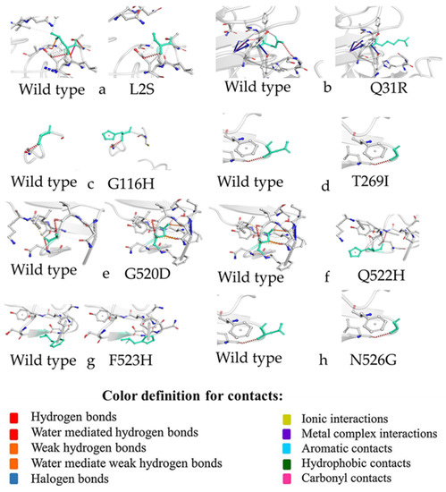Genotyping and In Silico Analysis of Delmarva (DMV/1639
