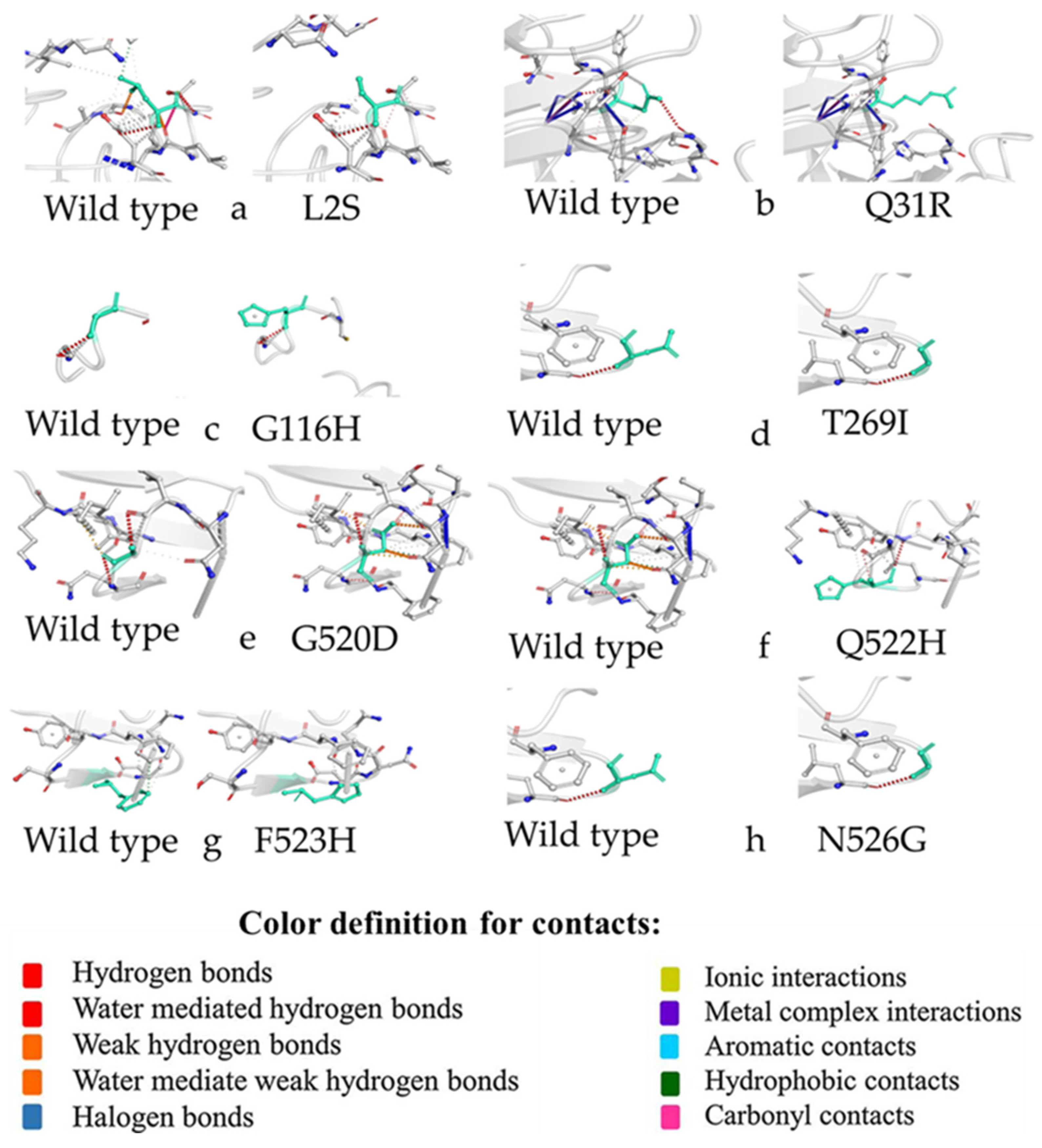 Genes 13 01617 g004 550