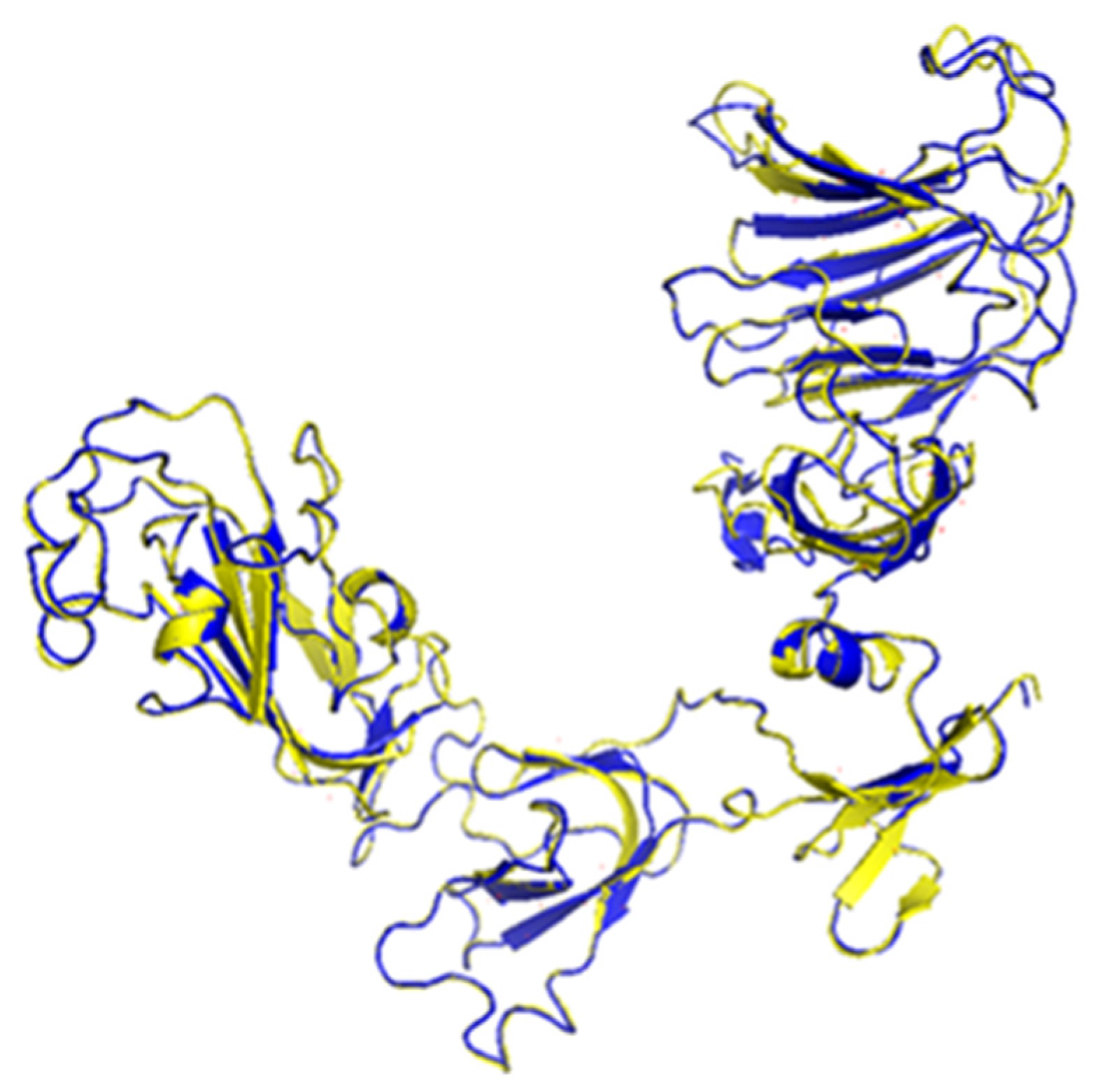 Genes 13 01617 g005 550