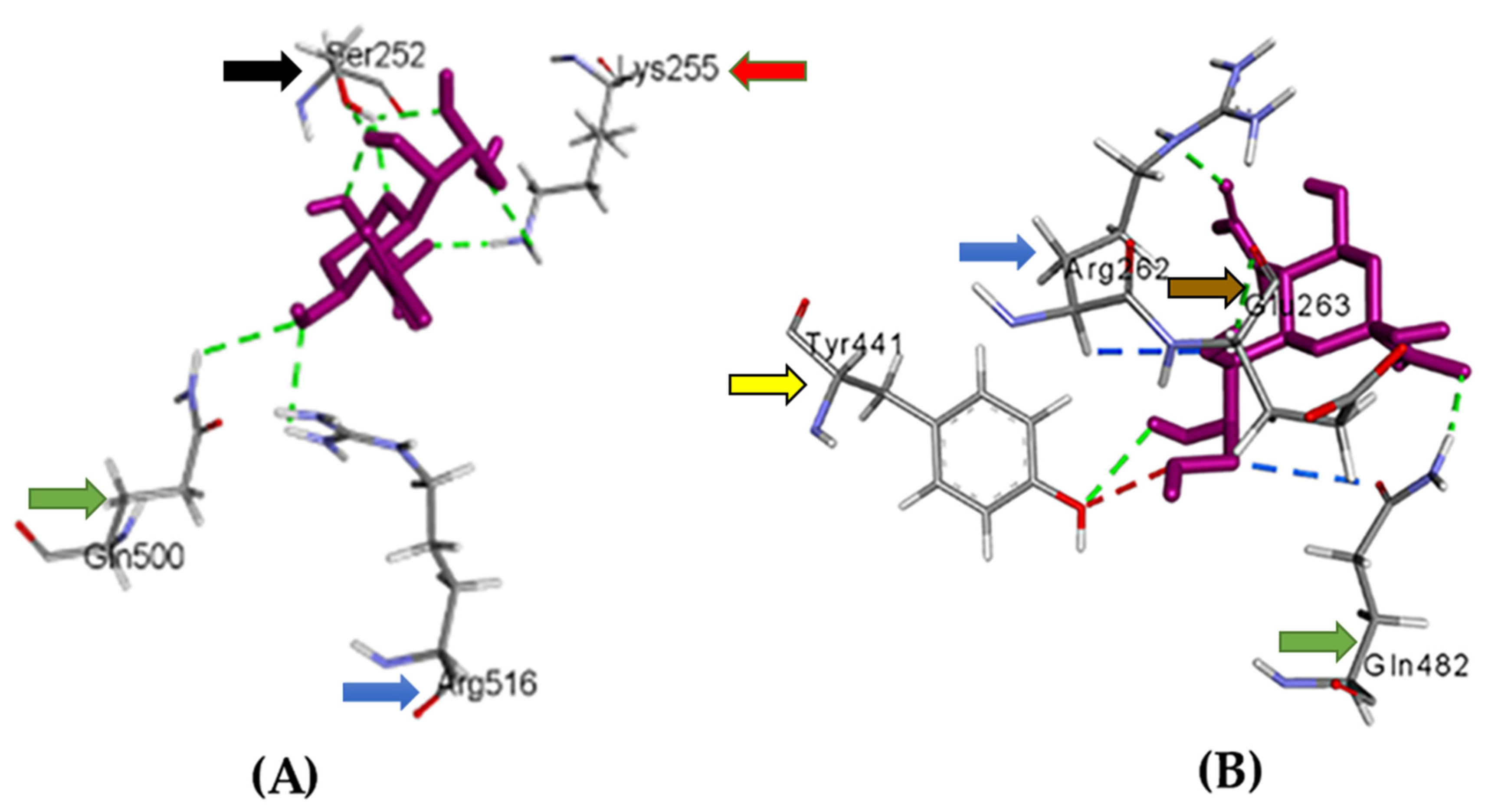 Genes 13 01617 g006 550