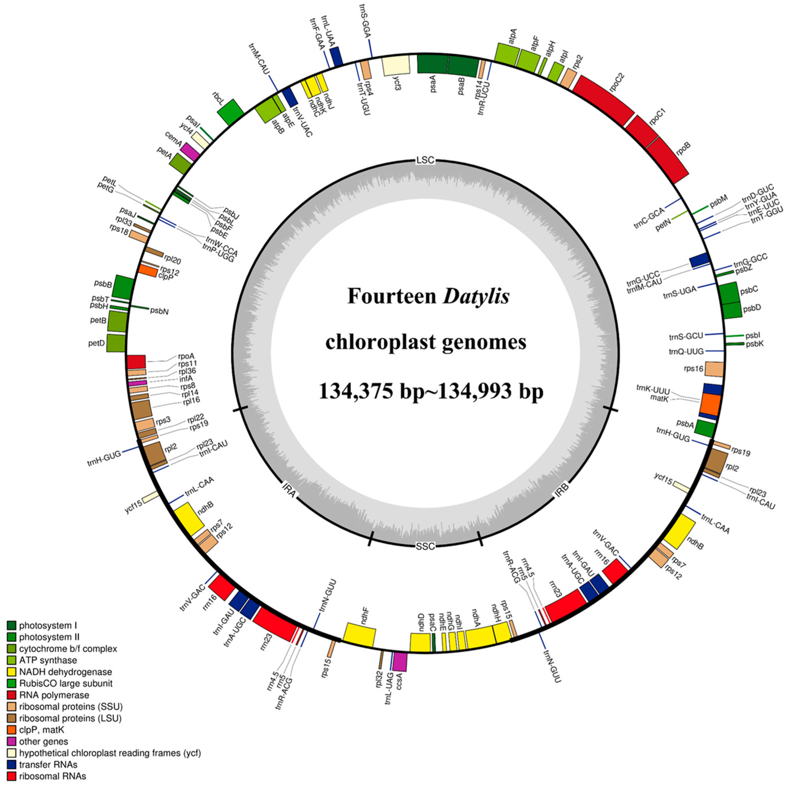 Genes 13 01621 g001 550