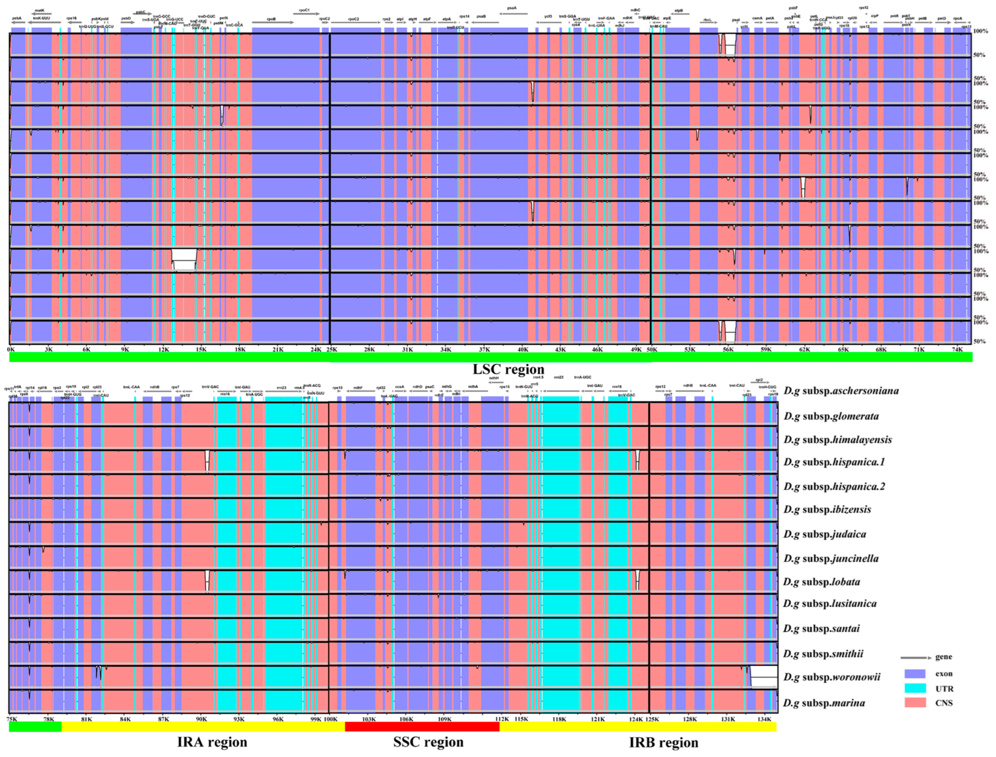 Genes 13 01621 g002 550