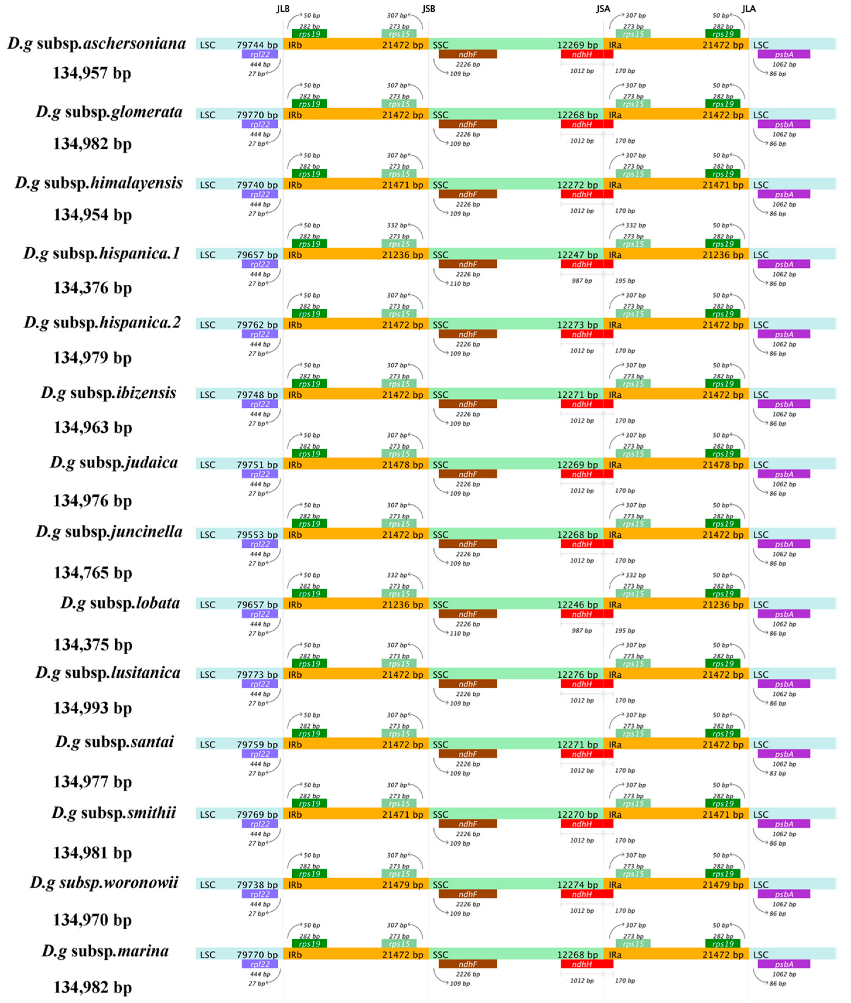 Genes 13 01621 g003 550
