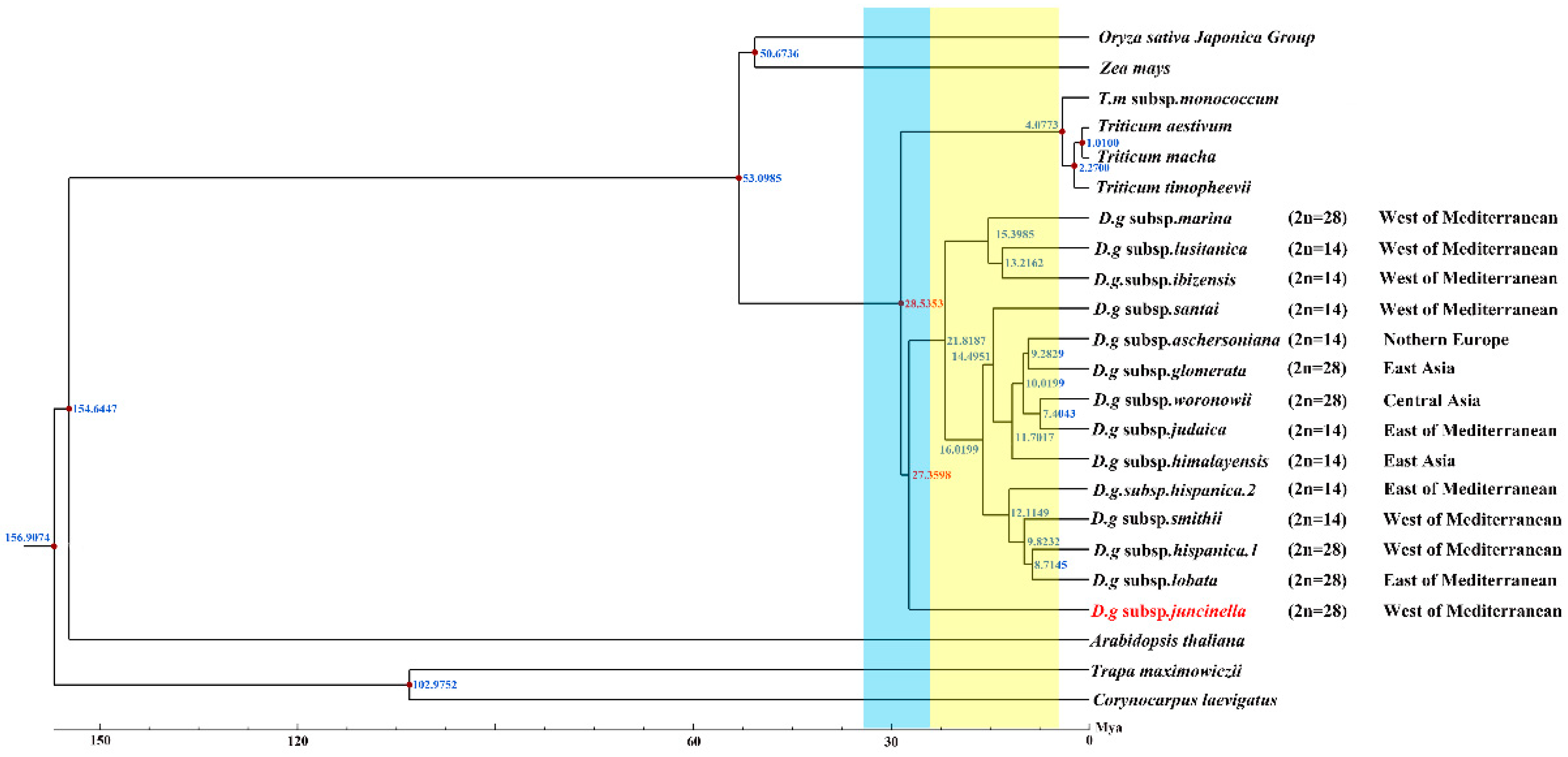 Genes 13 01621 g007 550