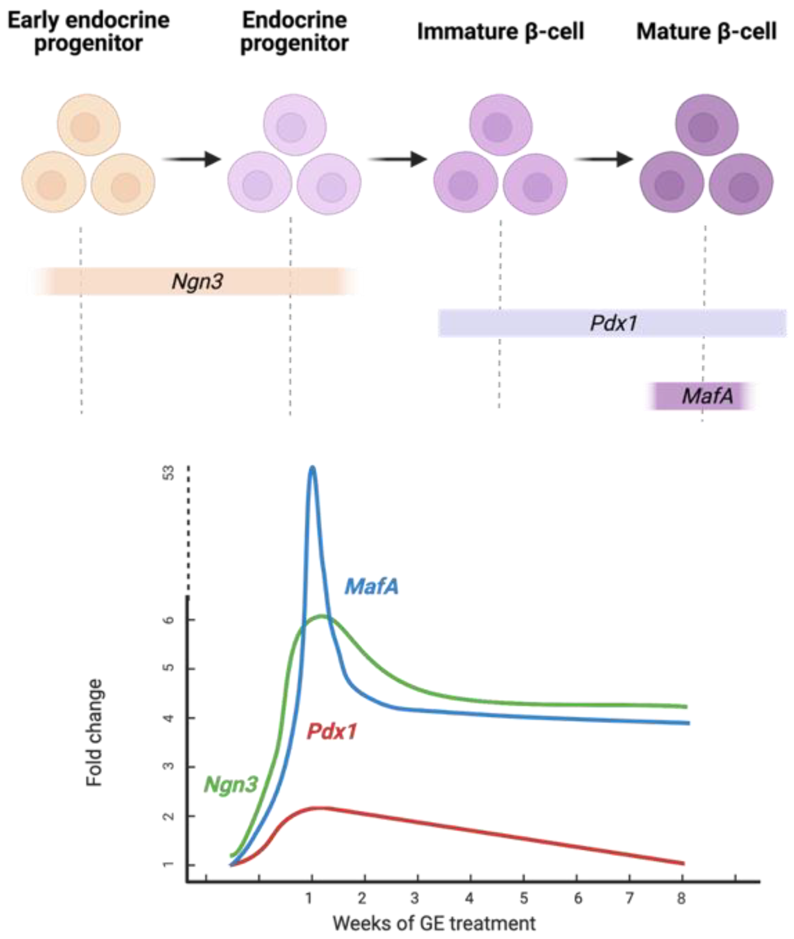 Genes 13 01625 g006 550