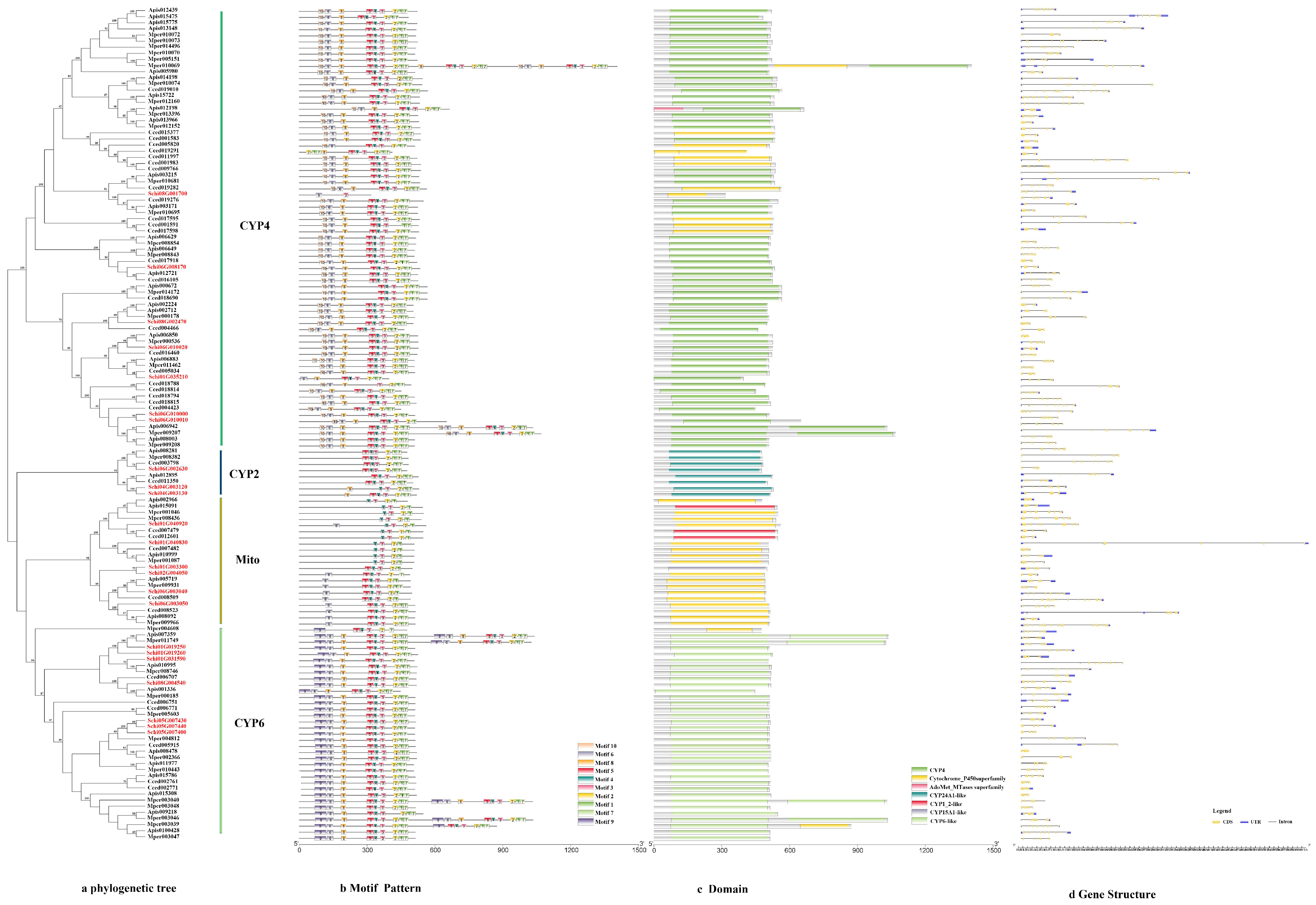Detoxification Gene Families at the Genome-Wide Level of Detoxification Gene Families at the Genome-Wide Level of