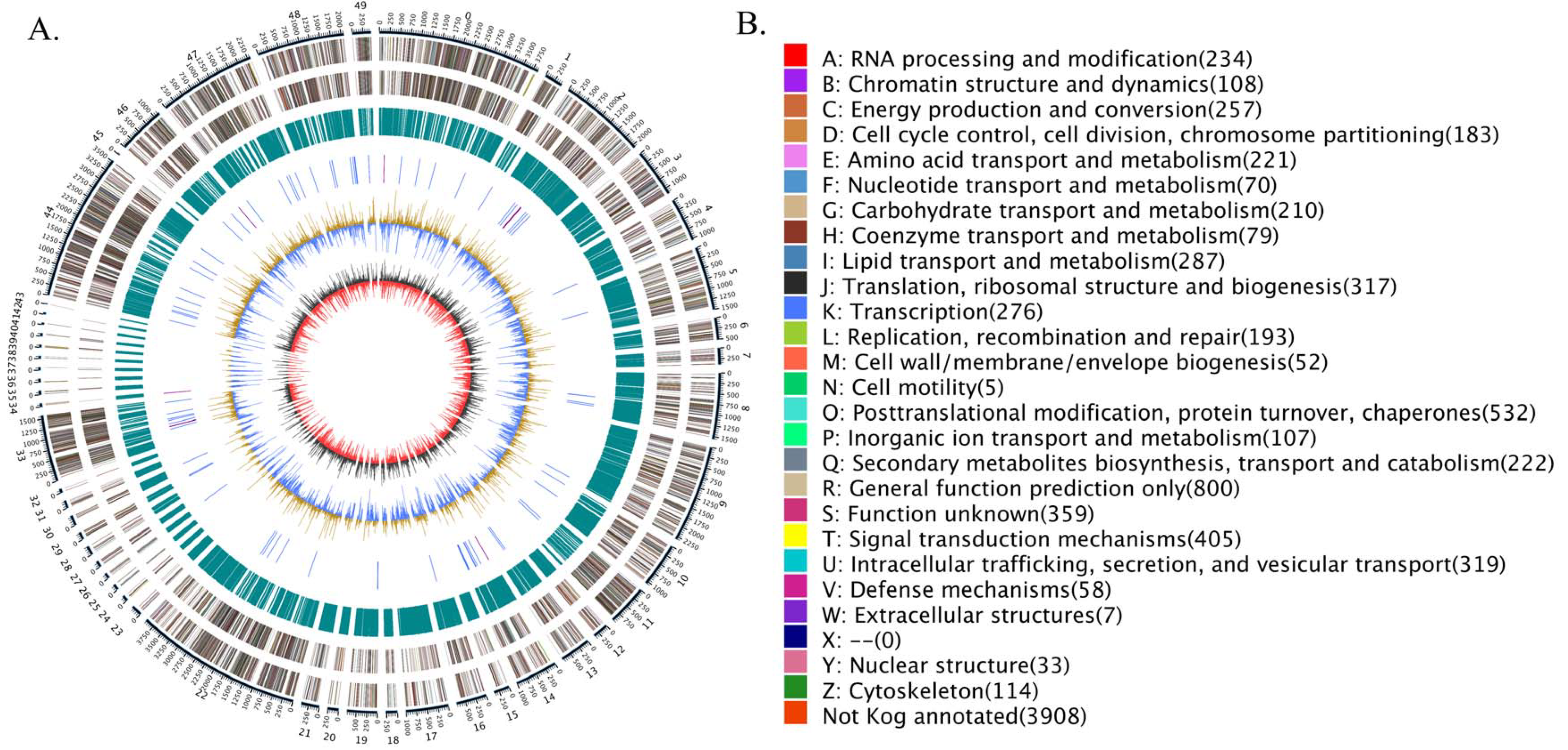 Genes 13 01628 g004 Genes 13 01628 g004