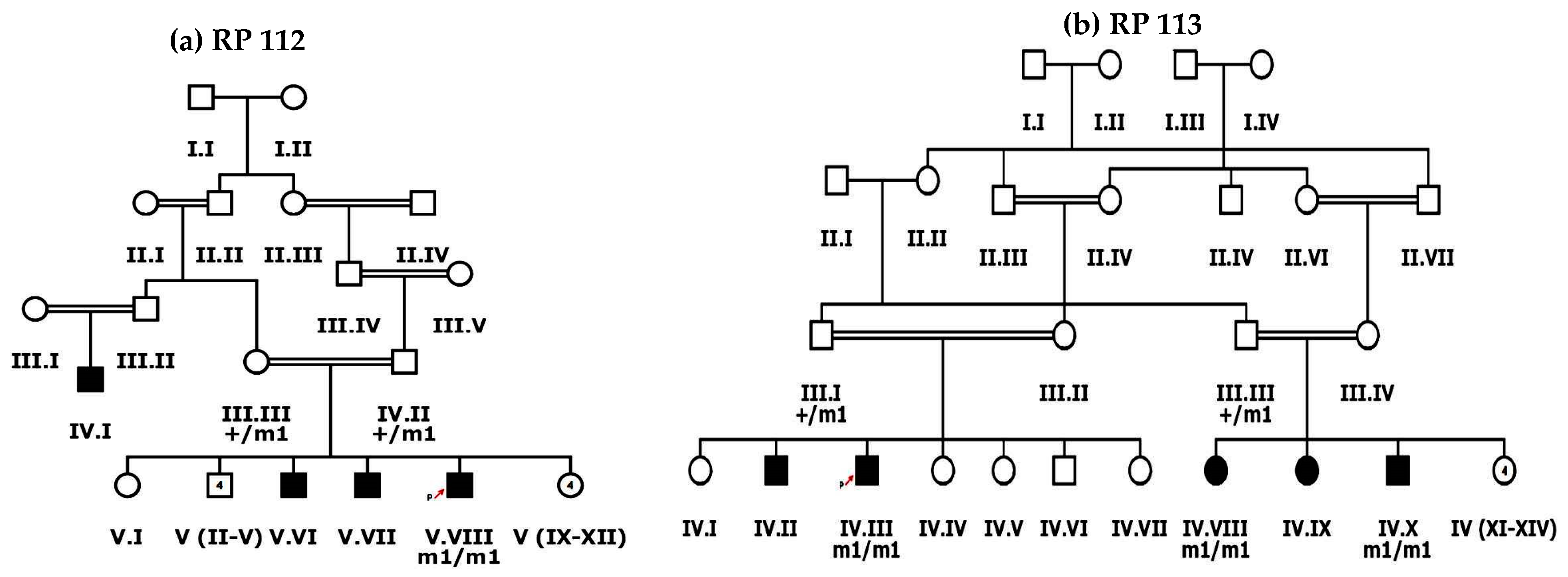 Genes 13 01630 g002 550