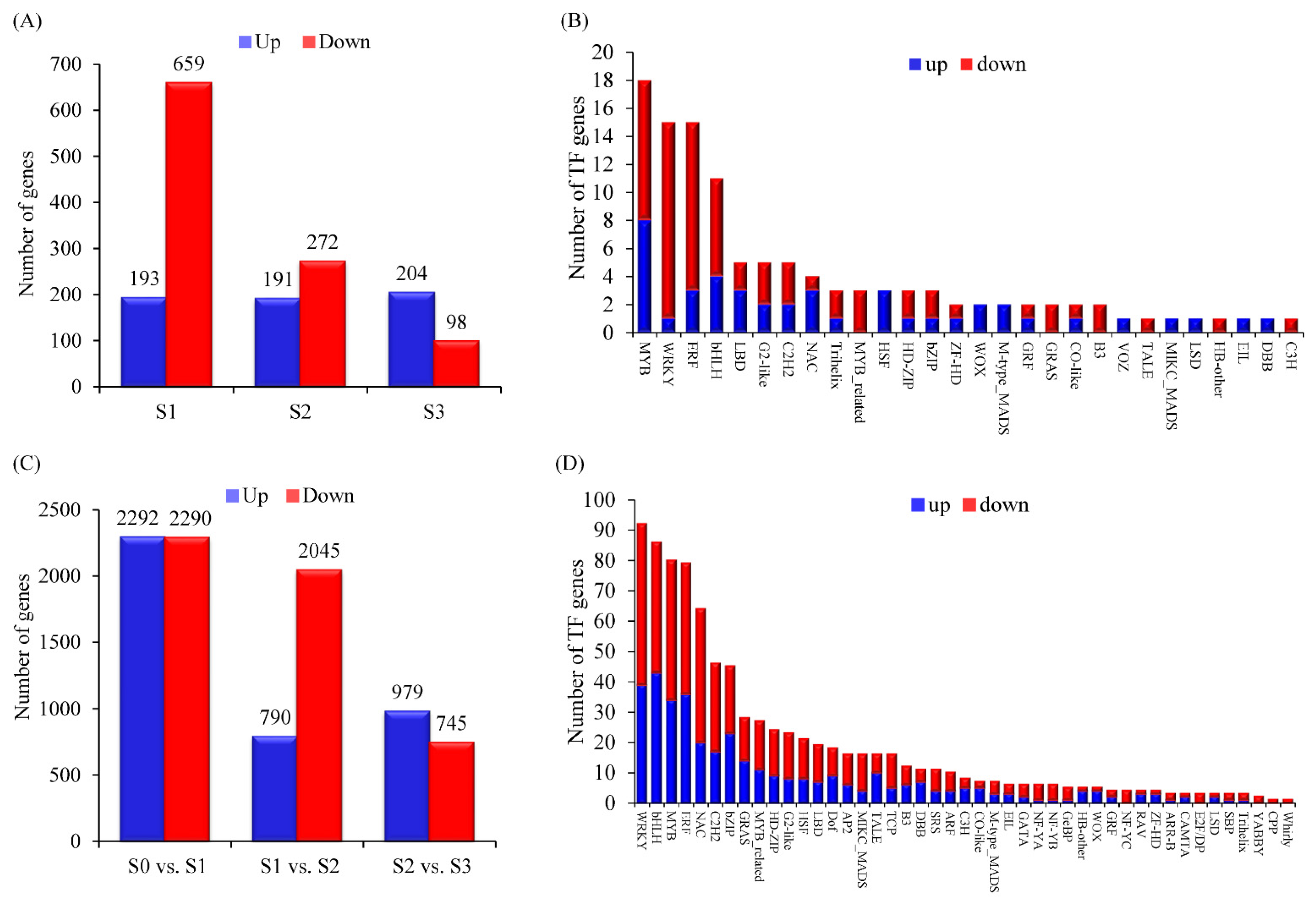 Genes 13 01632 g003