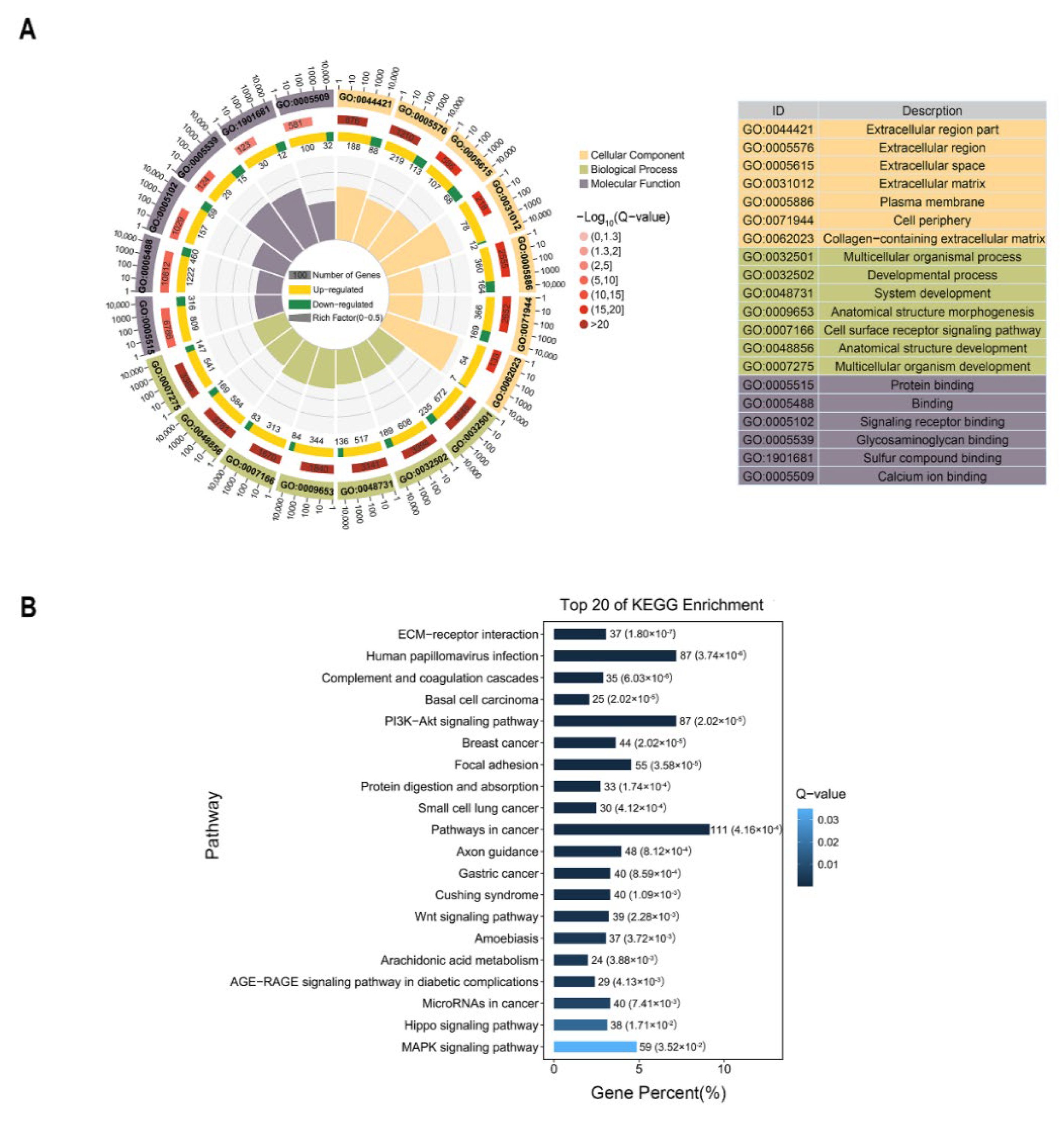 Genes 13 01637 g004