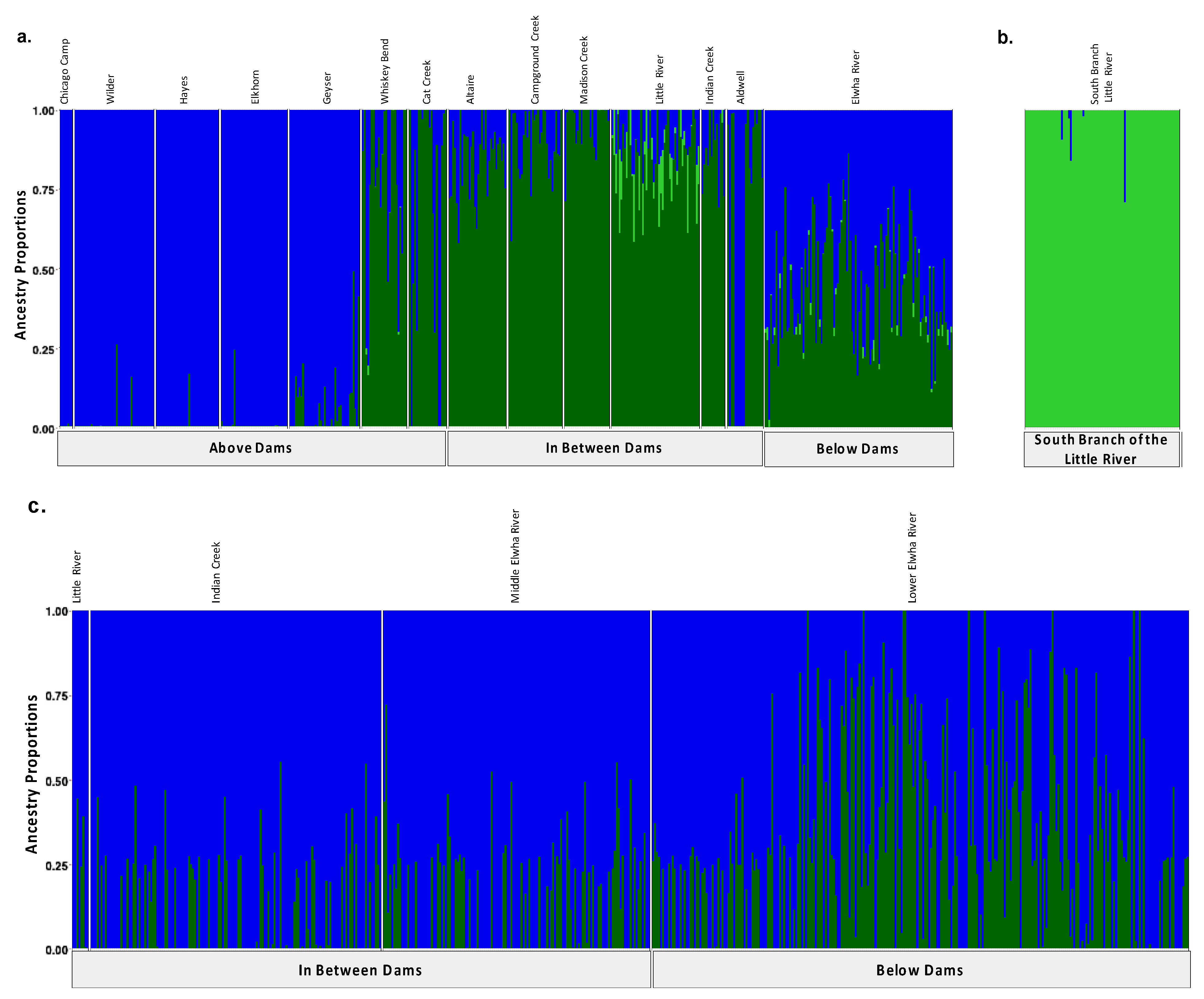 Genes 13 01638 g001 550