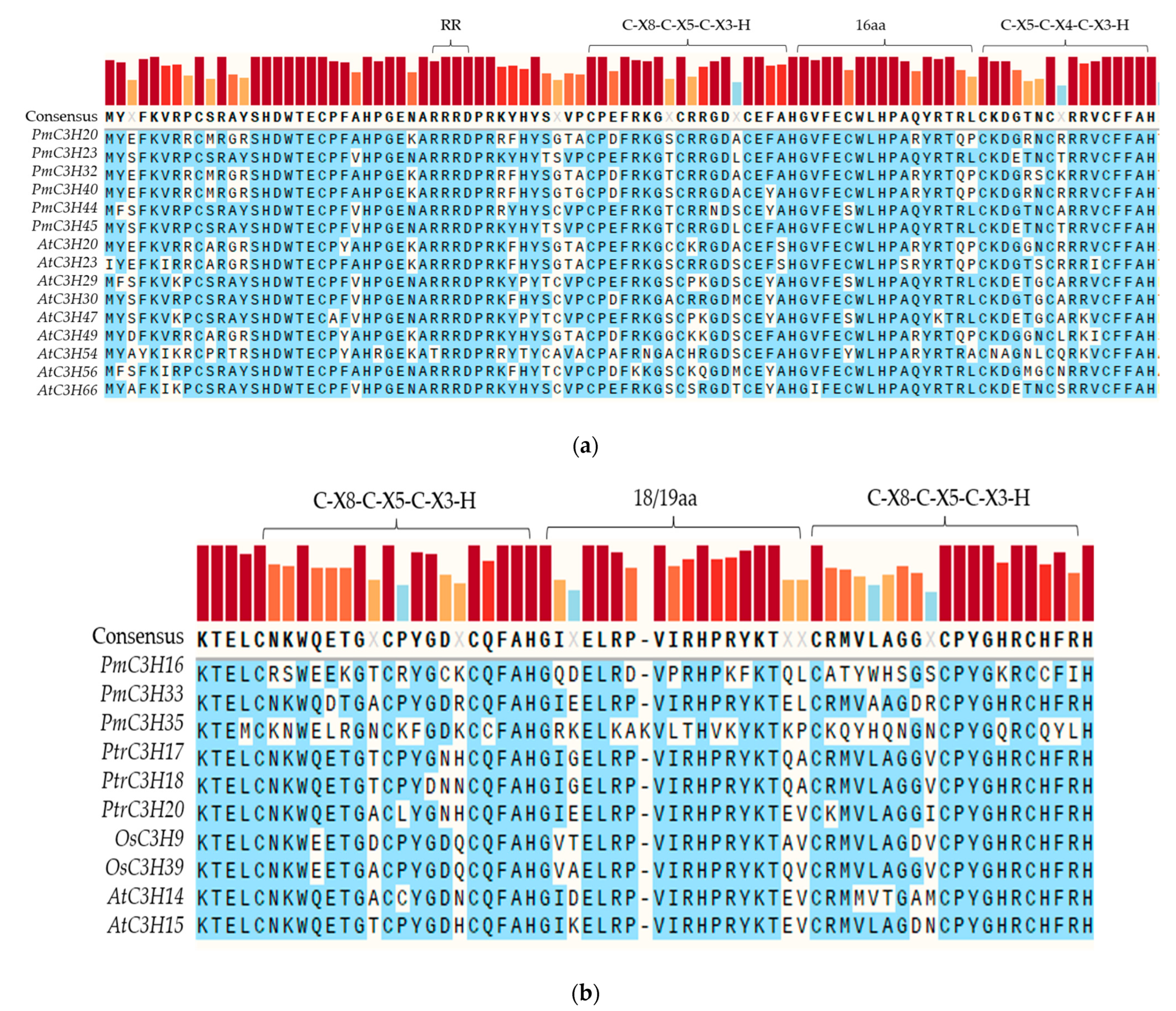 Genes 13 01639 g003