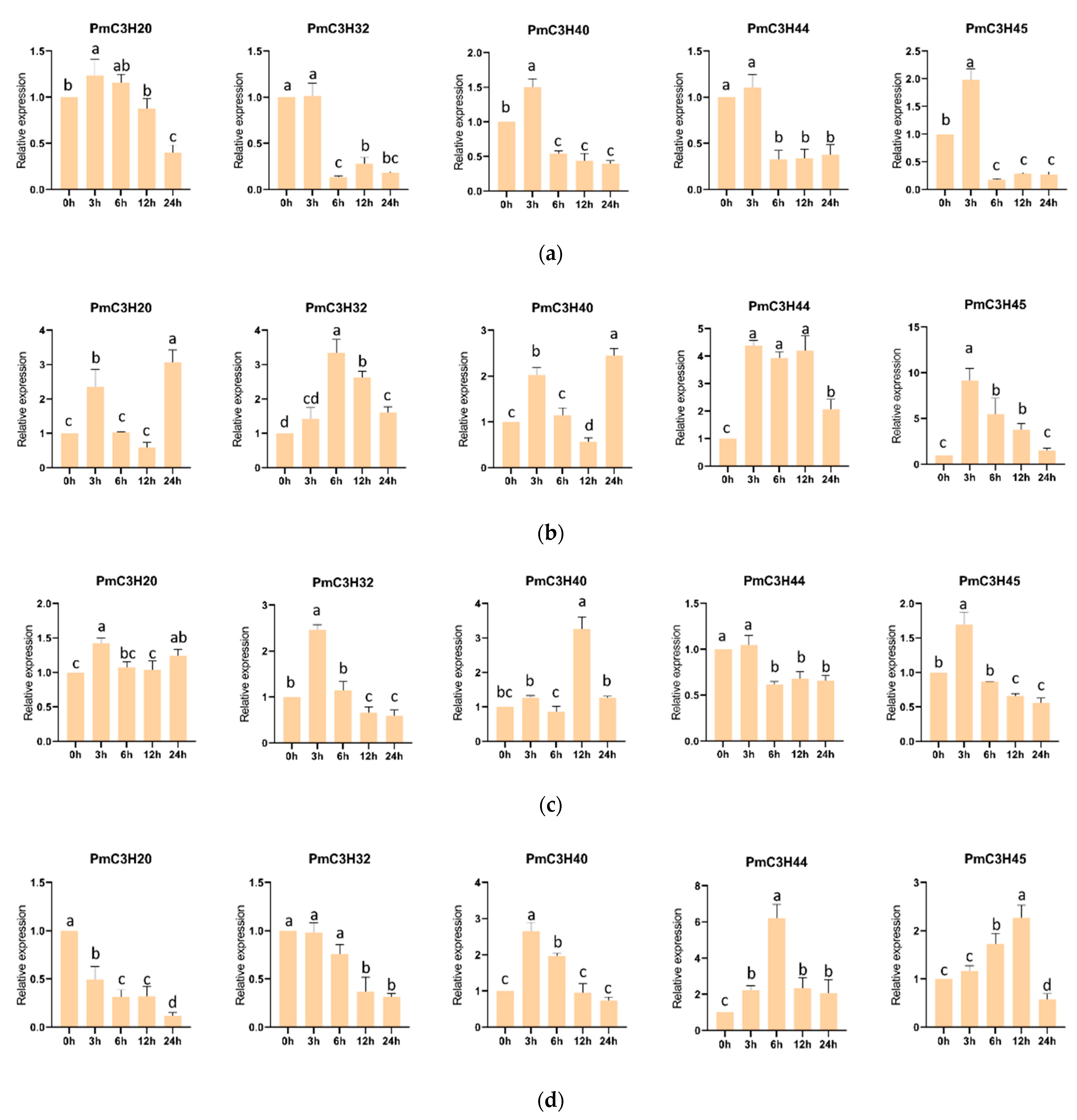 Genes 13 01639 g006a