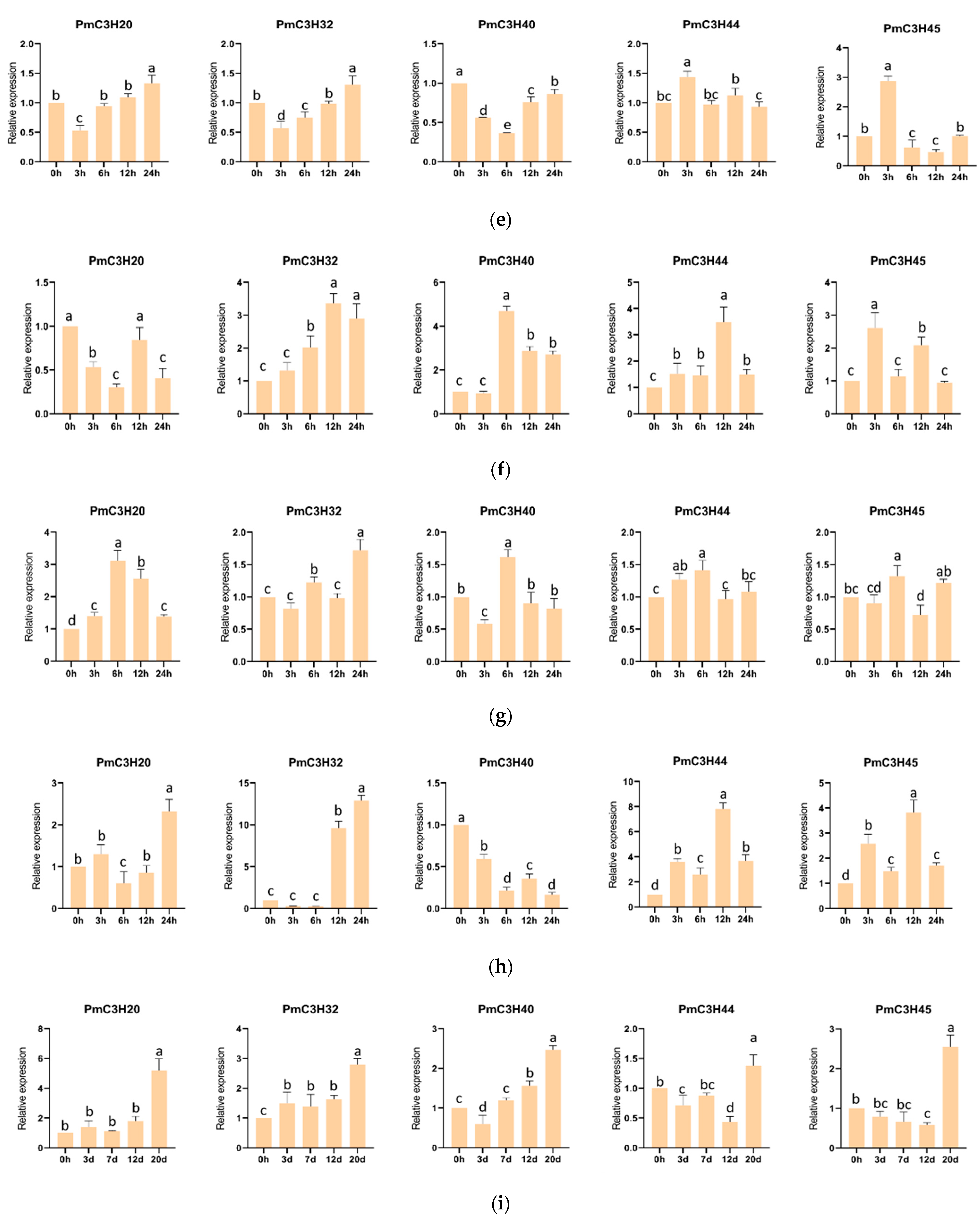 Genes 13 01639 g006b