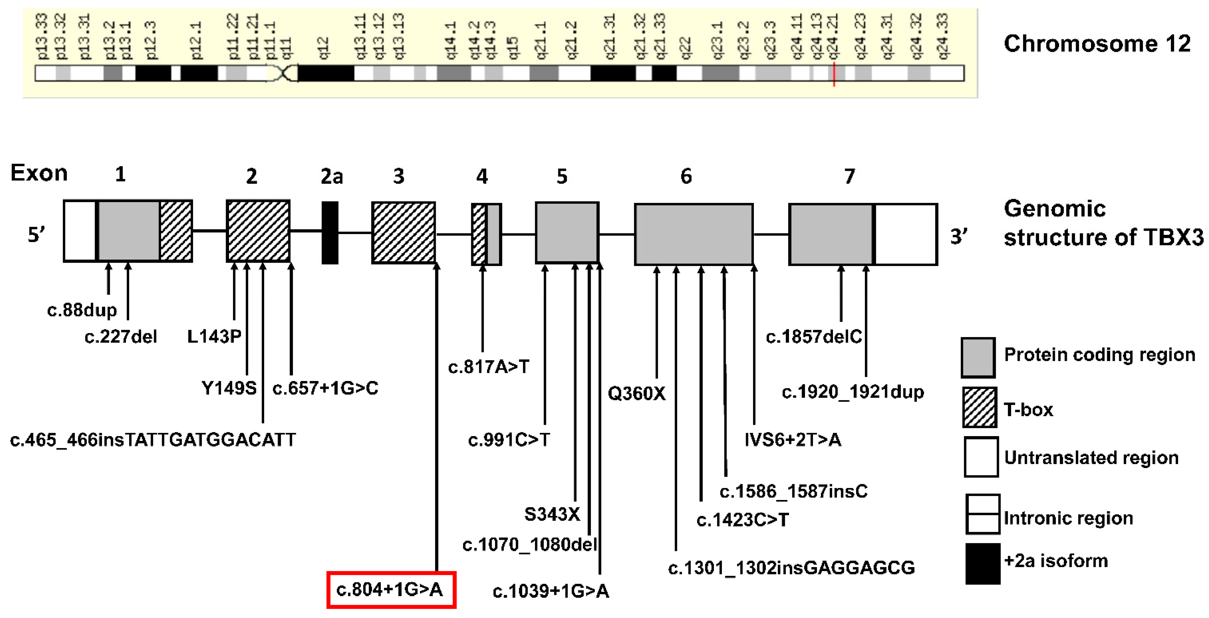 Genes 13 01649 g002