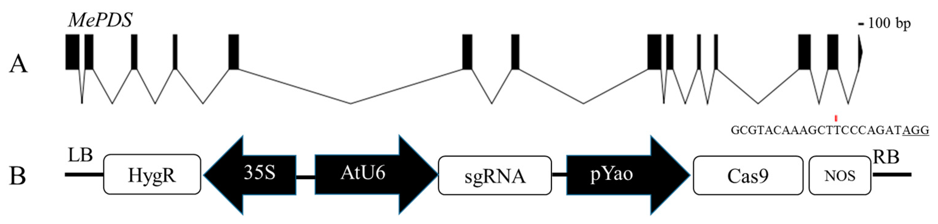 Genes 13 01650 g007 550