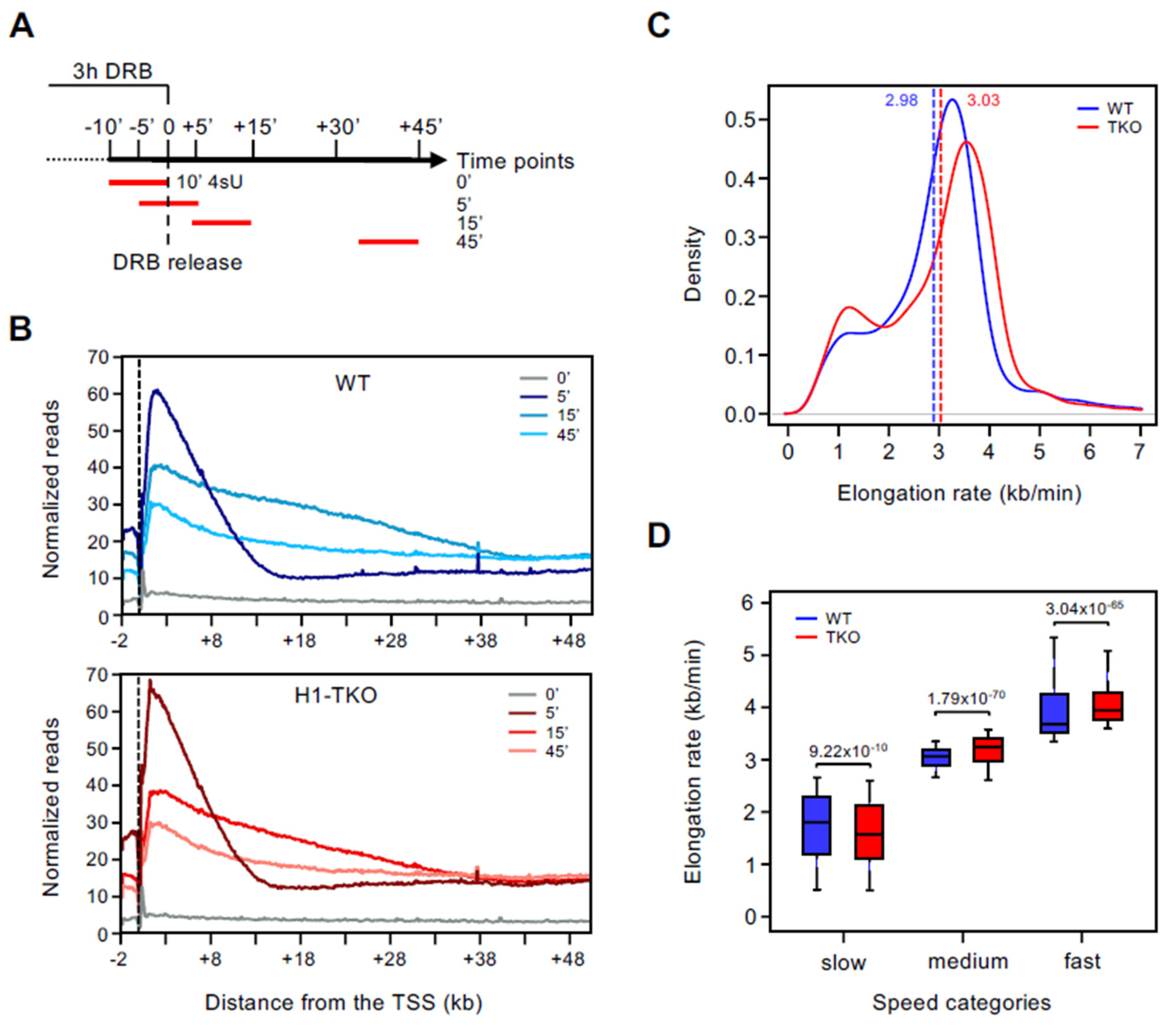 Genes 13 01652 g001 550