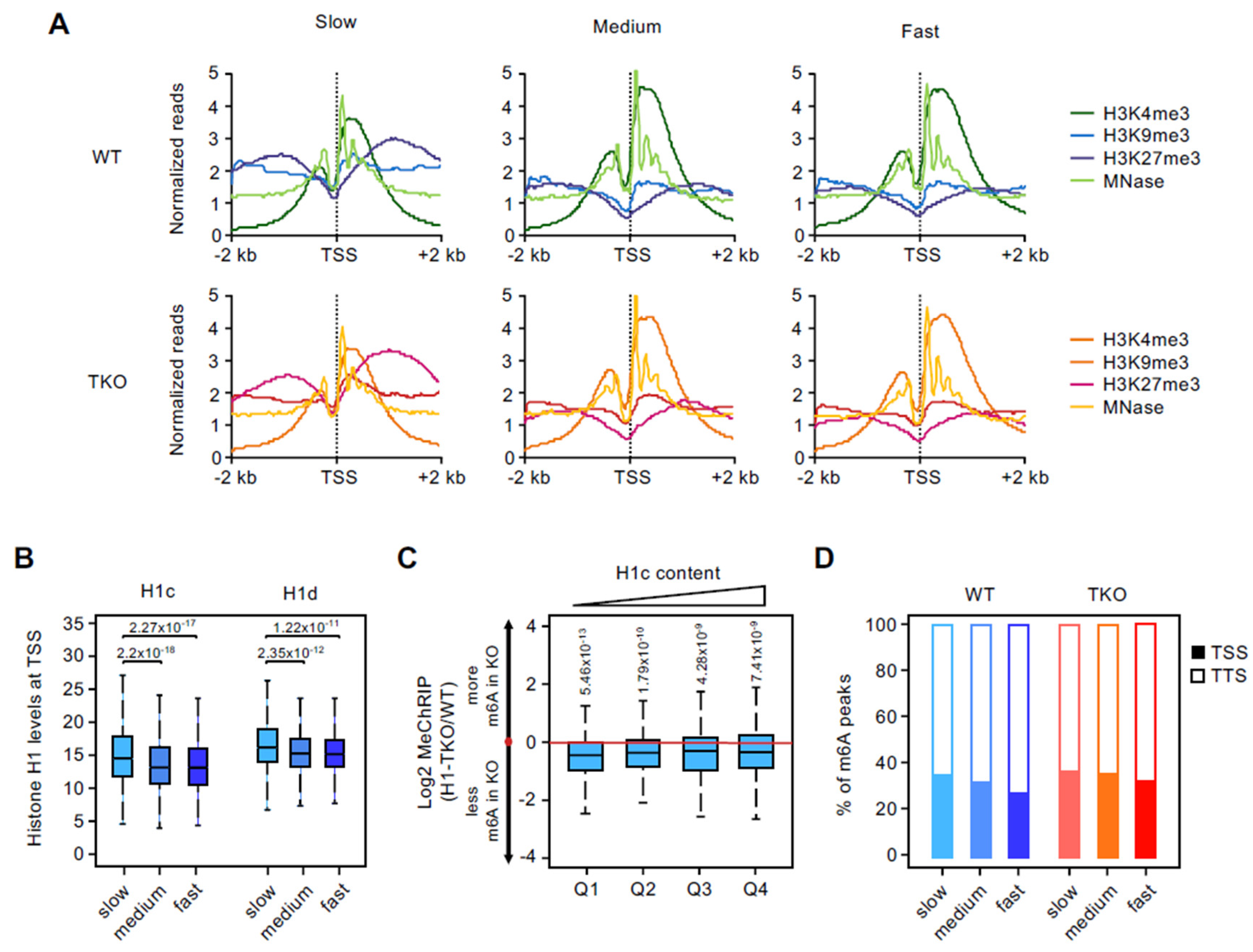 Genes 13 01652 g003 550