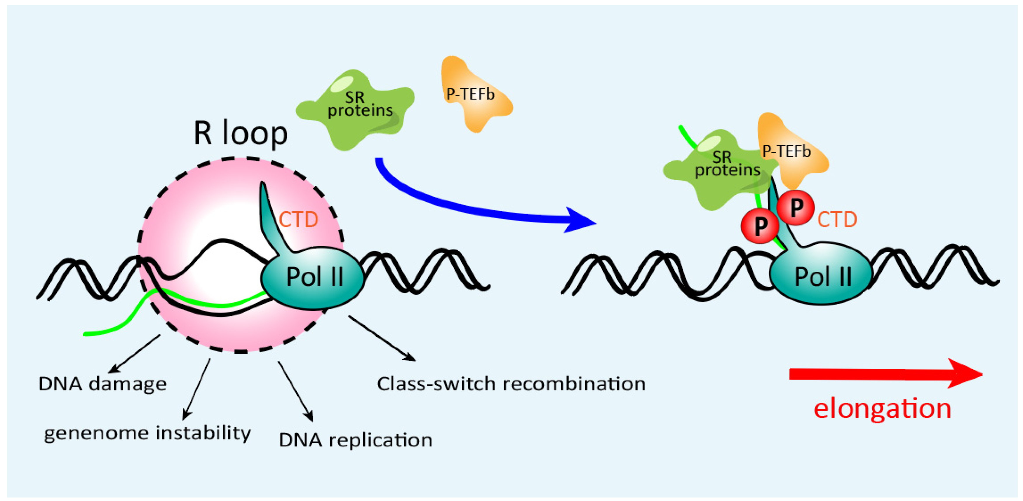 Genes 13 01659 g003 Genes 13 01659 g003