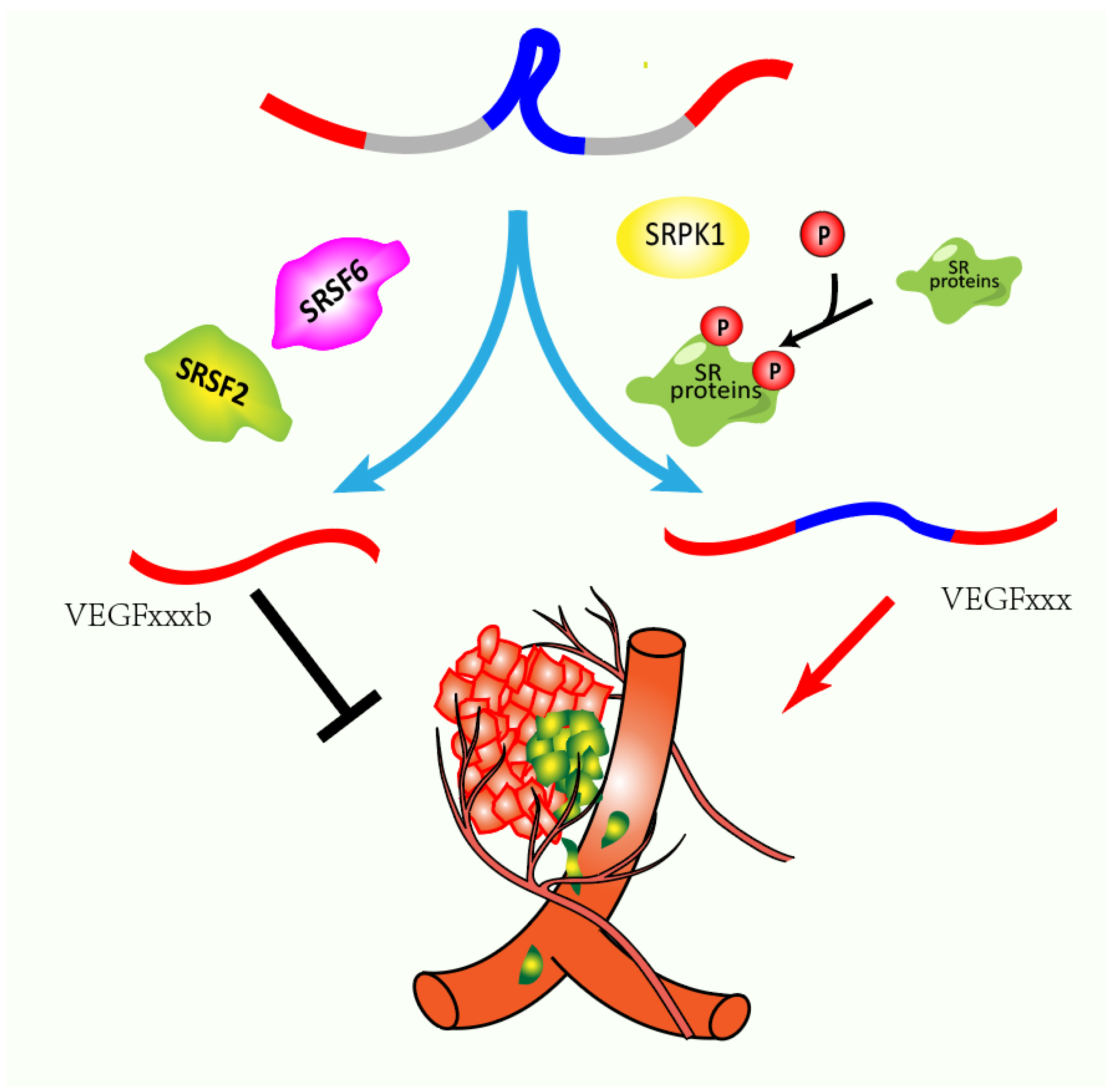 Genes 13 01659 g005 Genes 13 01659 g005
