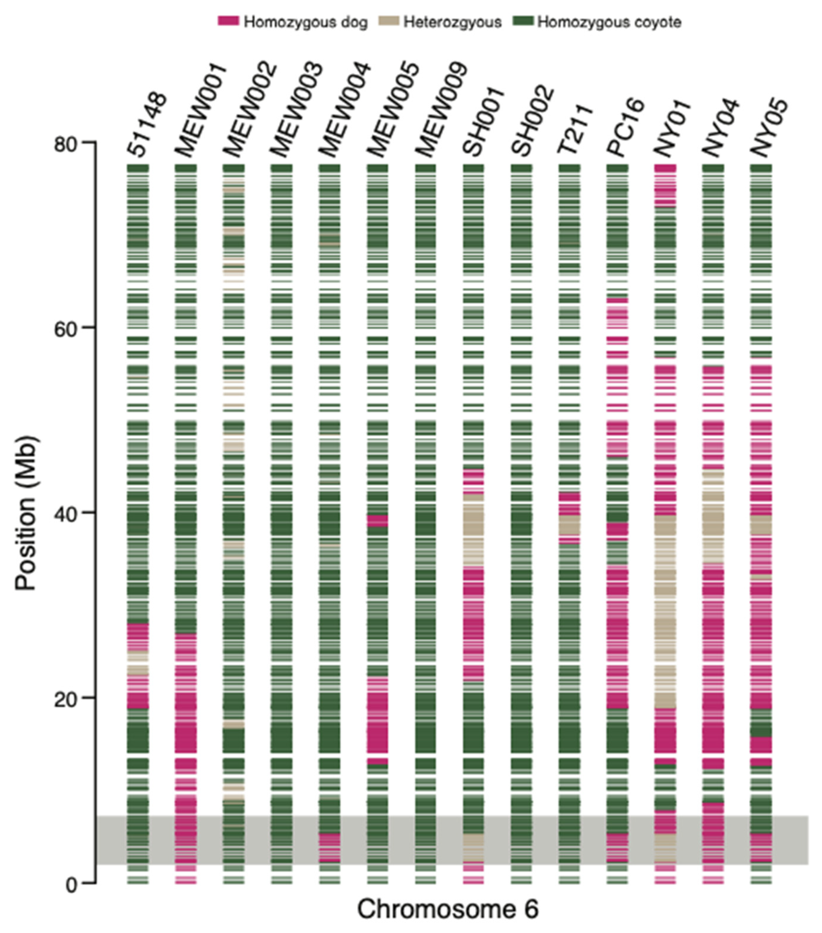 Genes 13 01661 g004 Genes 13 01661 g004