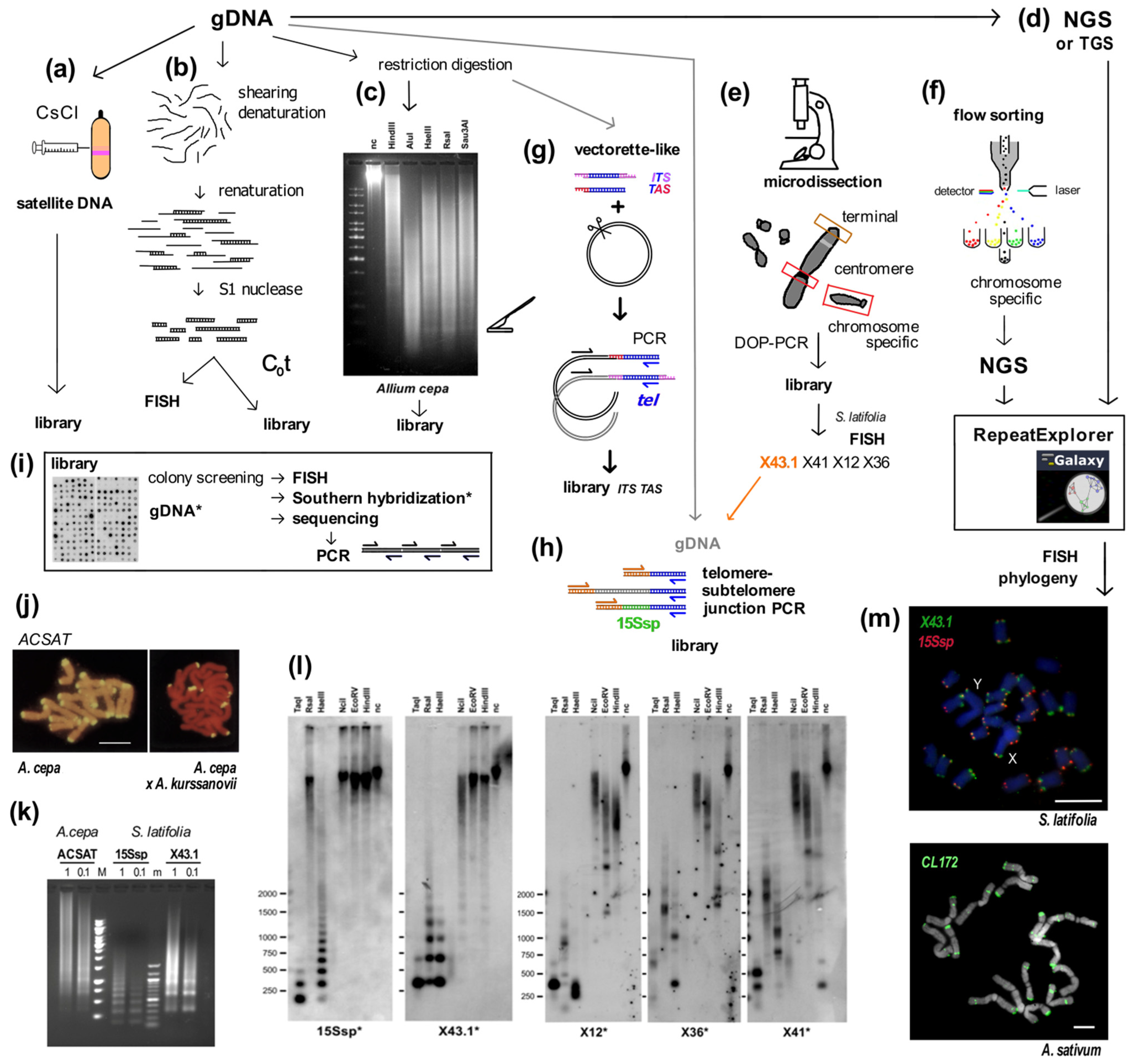 Genes 13 01663 g001 Genes 13 01663 g001