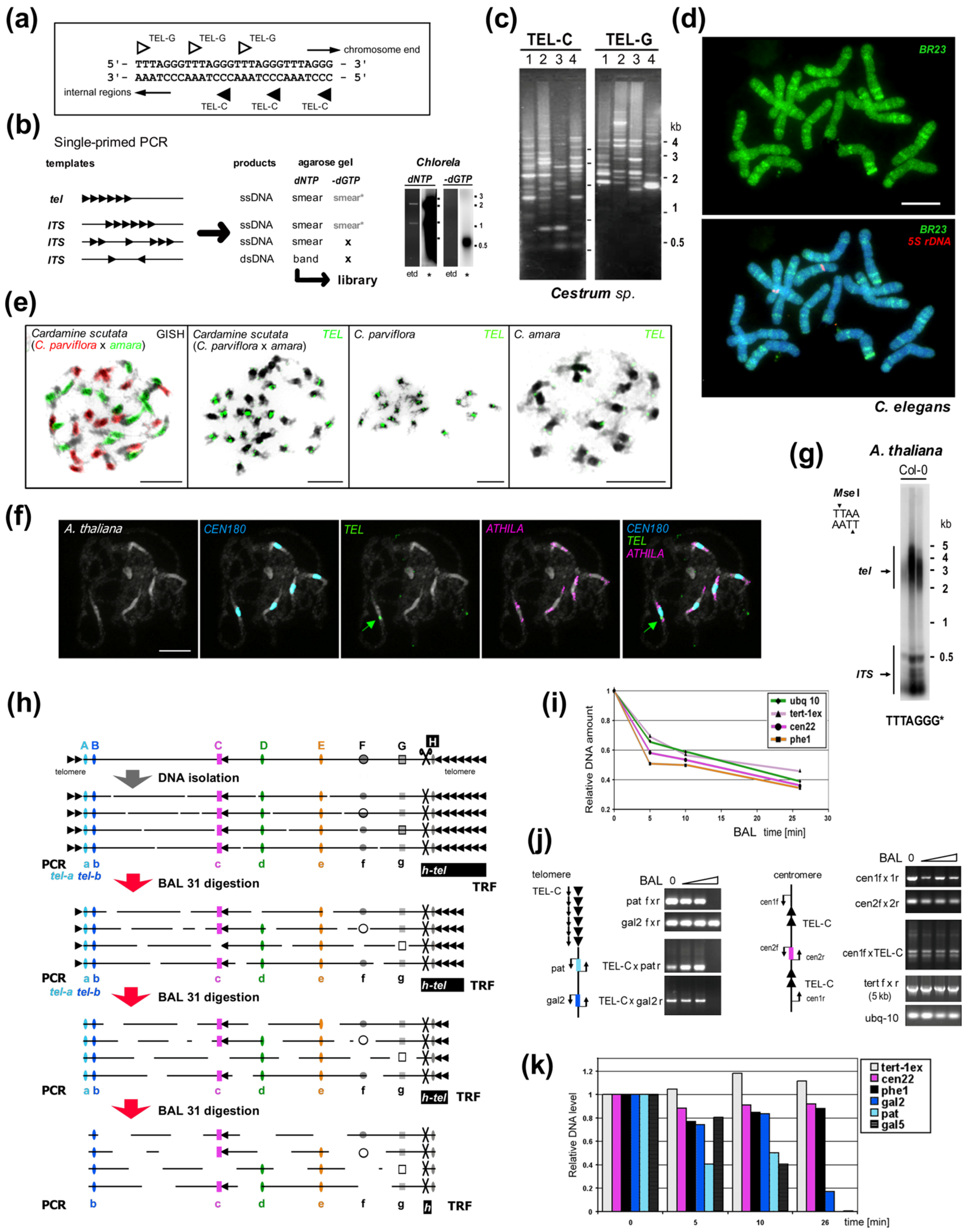 Genes 13 01663 g002 Genes 13 01663 g002