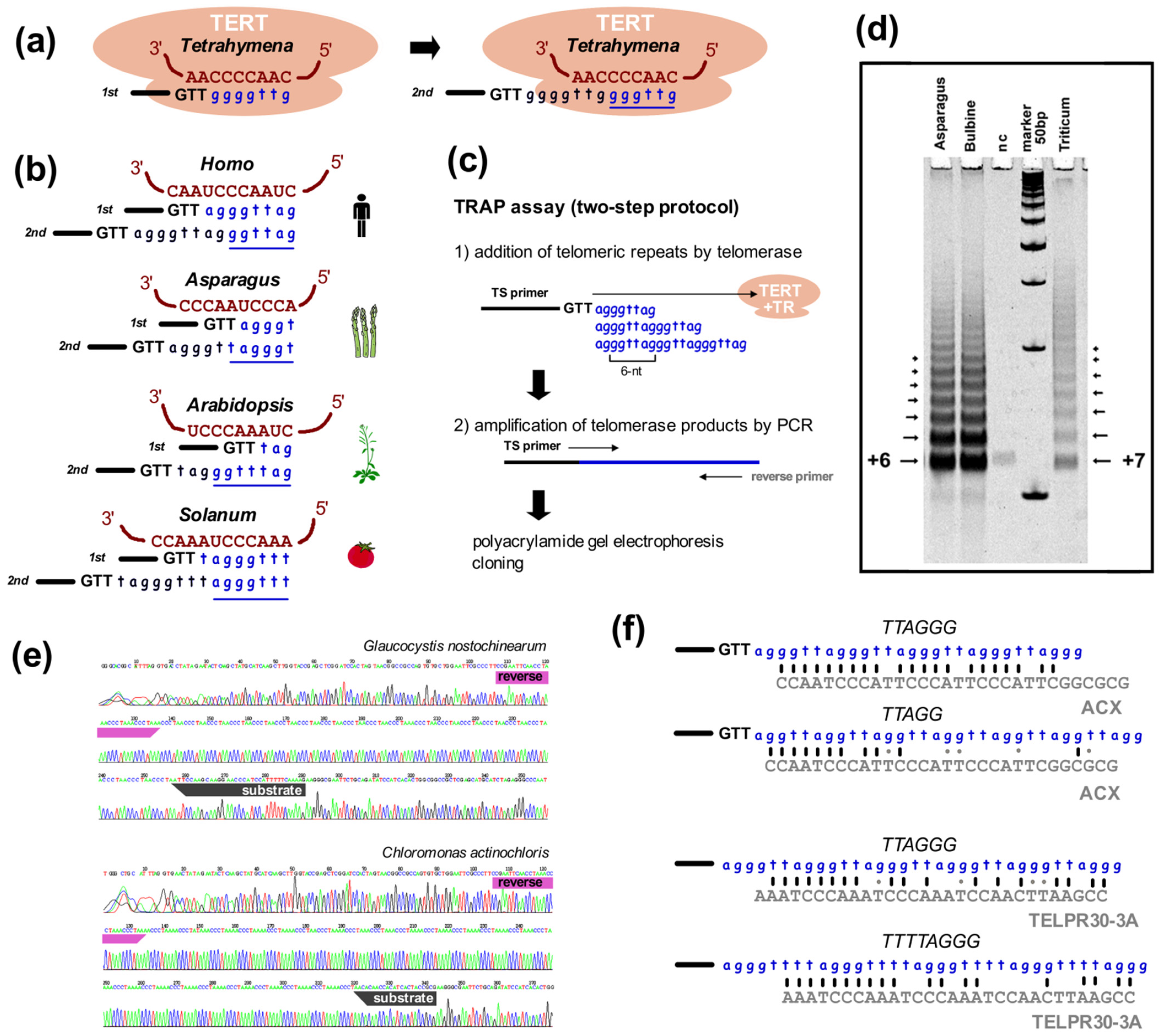 Genes 13 01663 g003 Genes 13 01663 g003