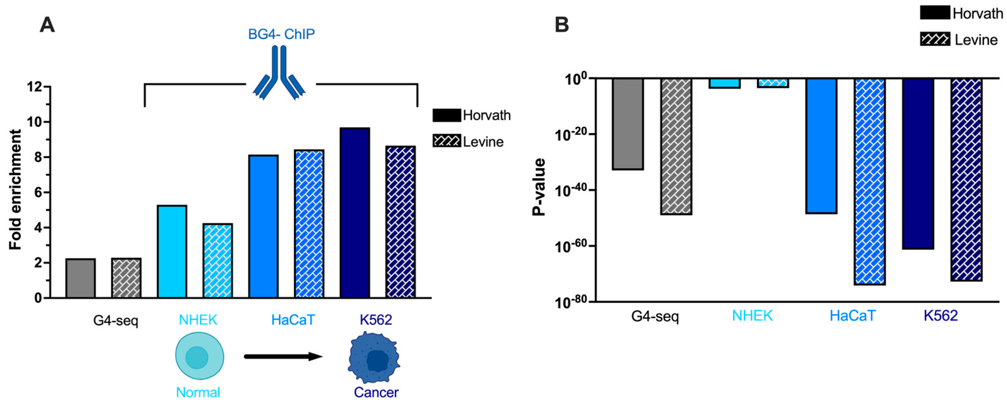 Genes 13 01665 g005 Genes 13 01665 g005
