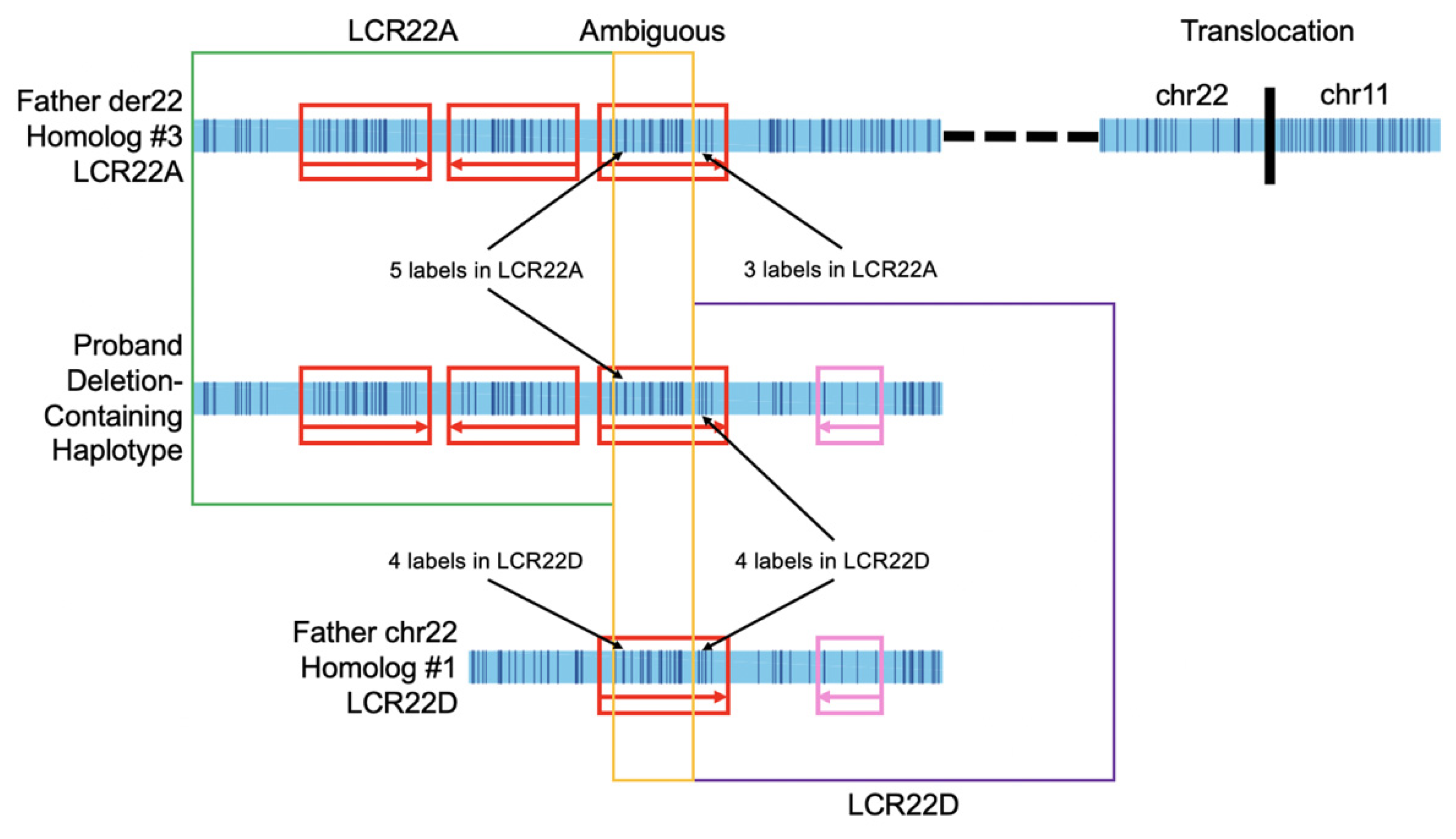 Genes 13 01668 g003