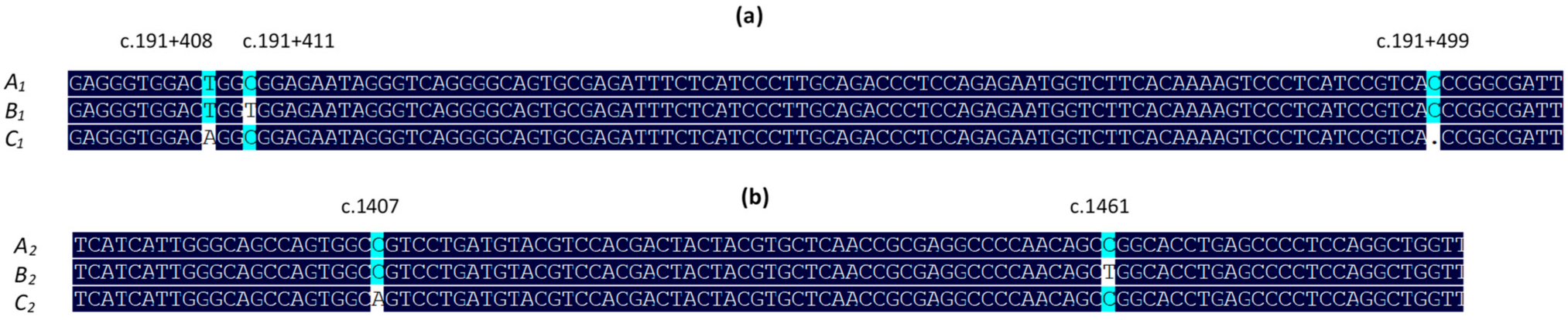 Genes 13 01670 g002