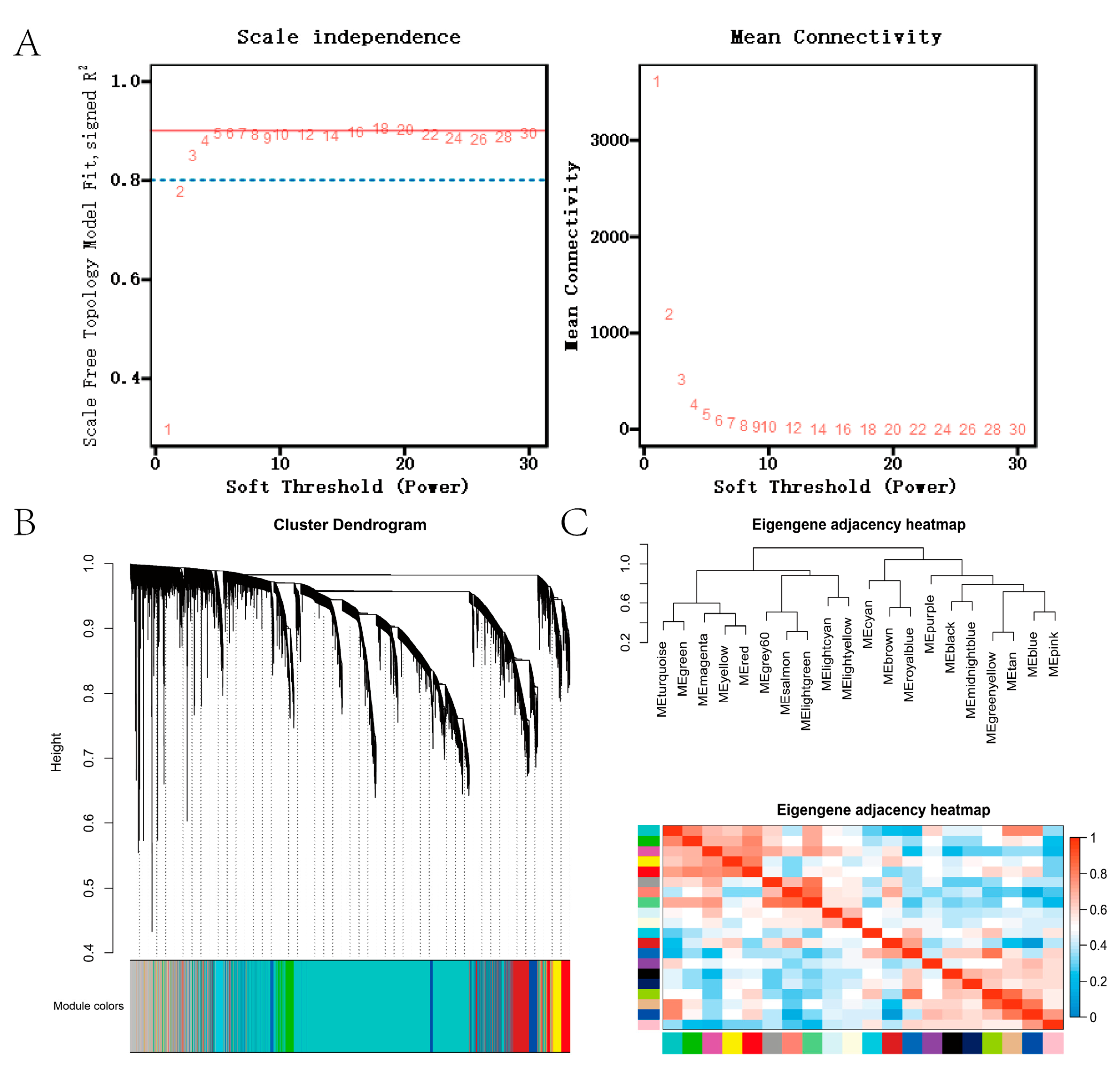Genes 13 01671 g003