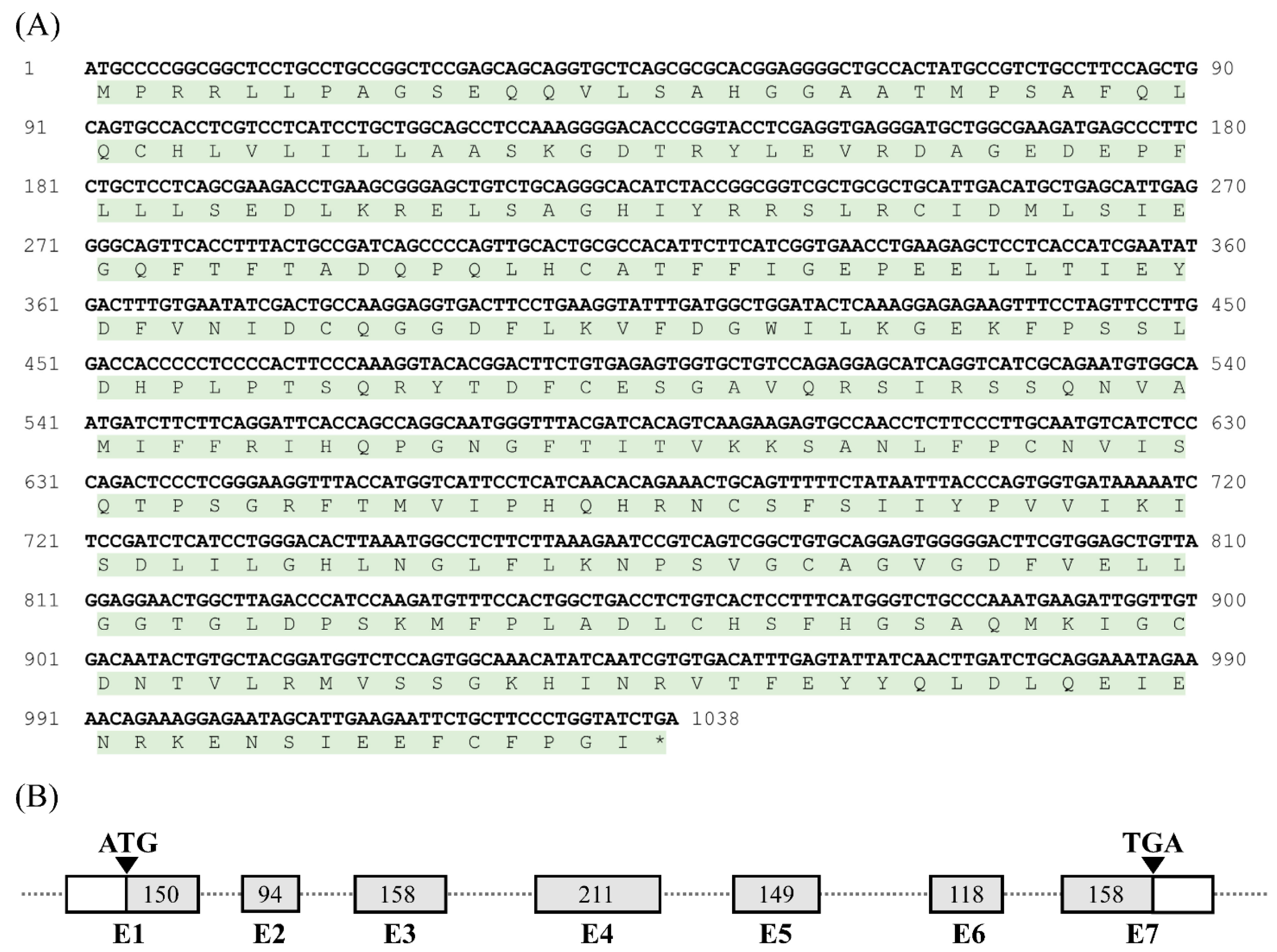 Genes 13 01680 g001 Genes 13 01680 g001