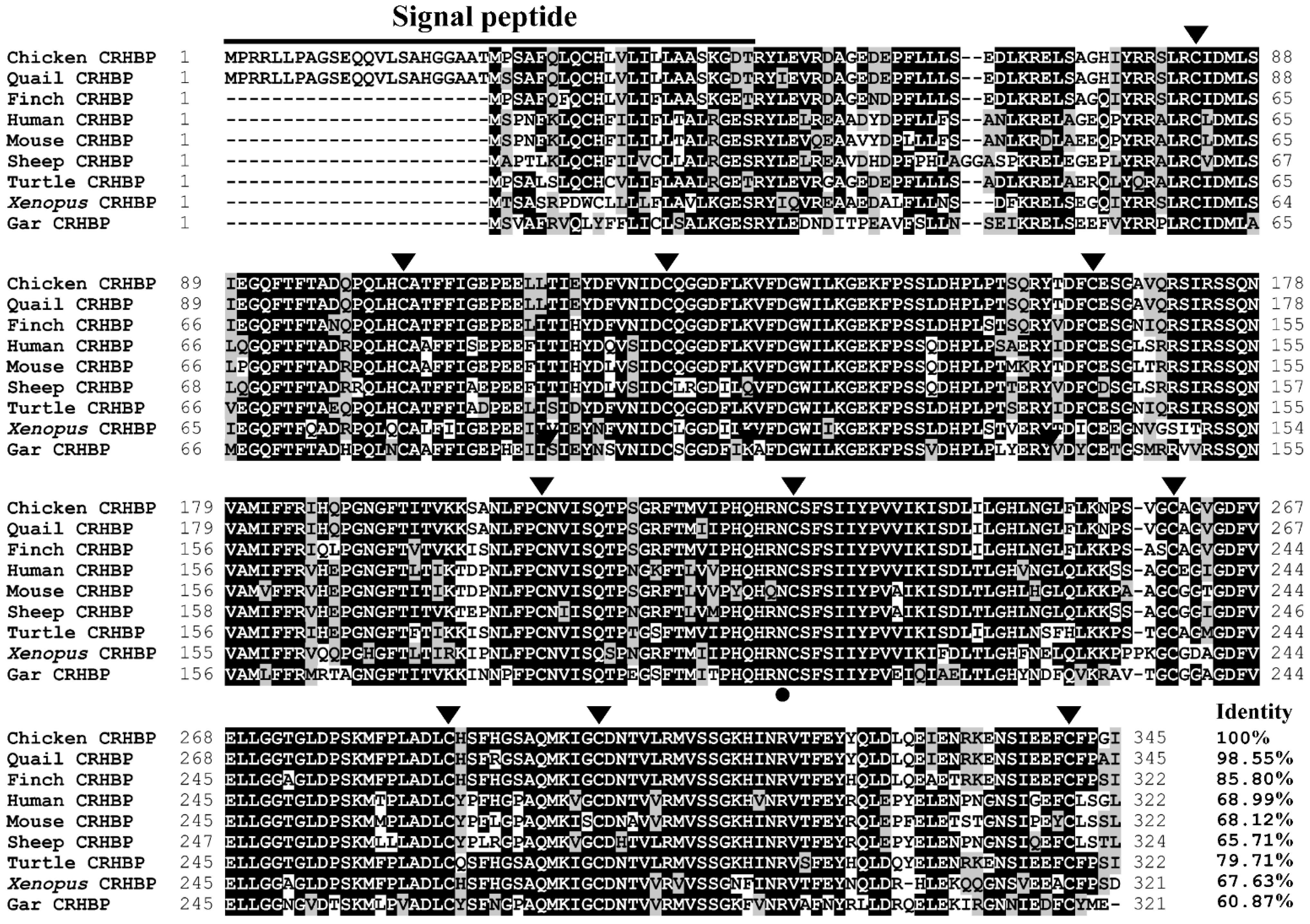 Genes 13 01680 g002 Genes 13 01680 g002