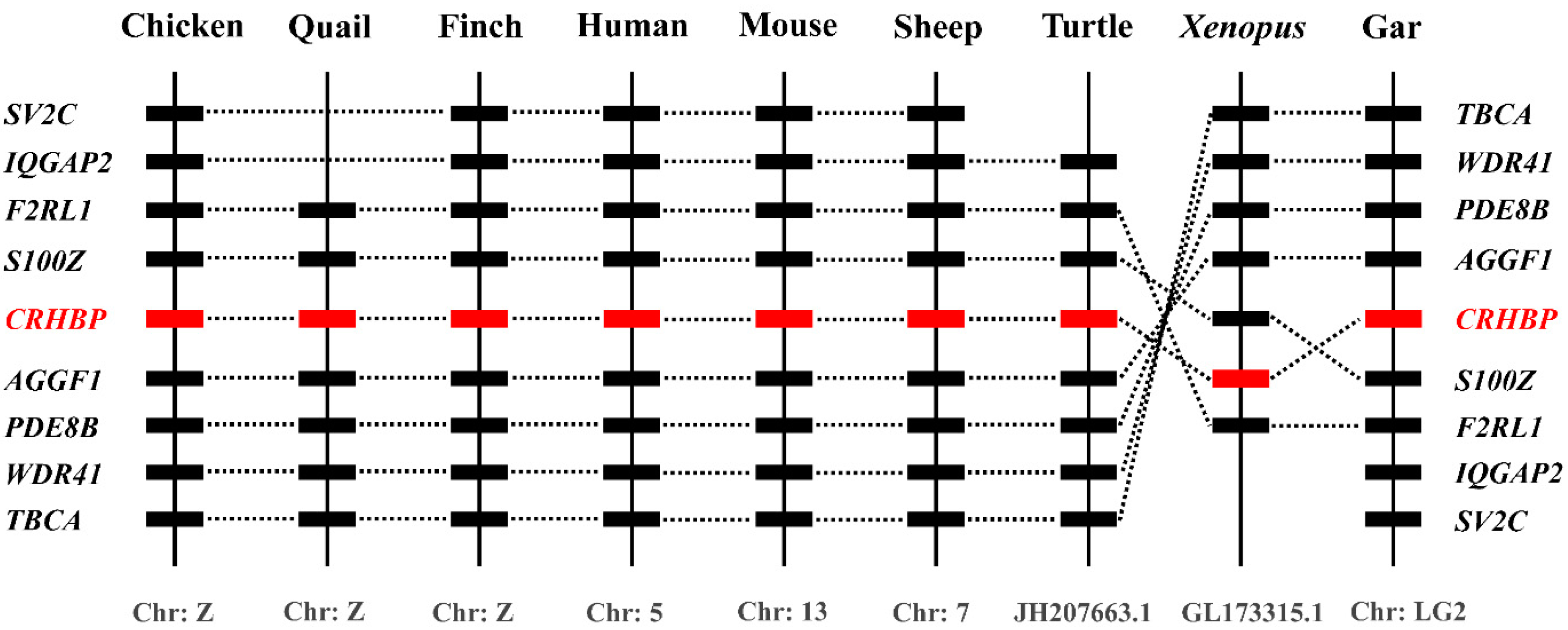 Genes 13 01680 g003 Genes 13 01680 g003