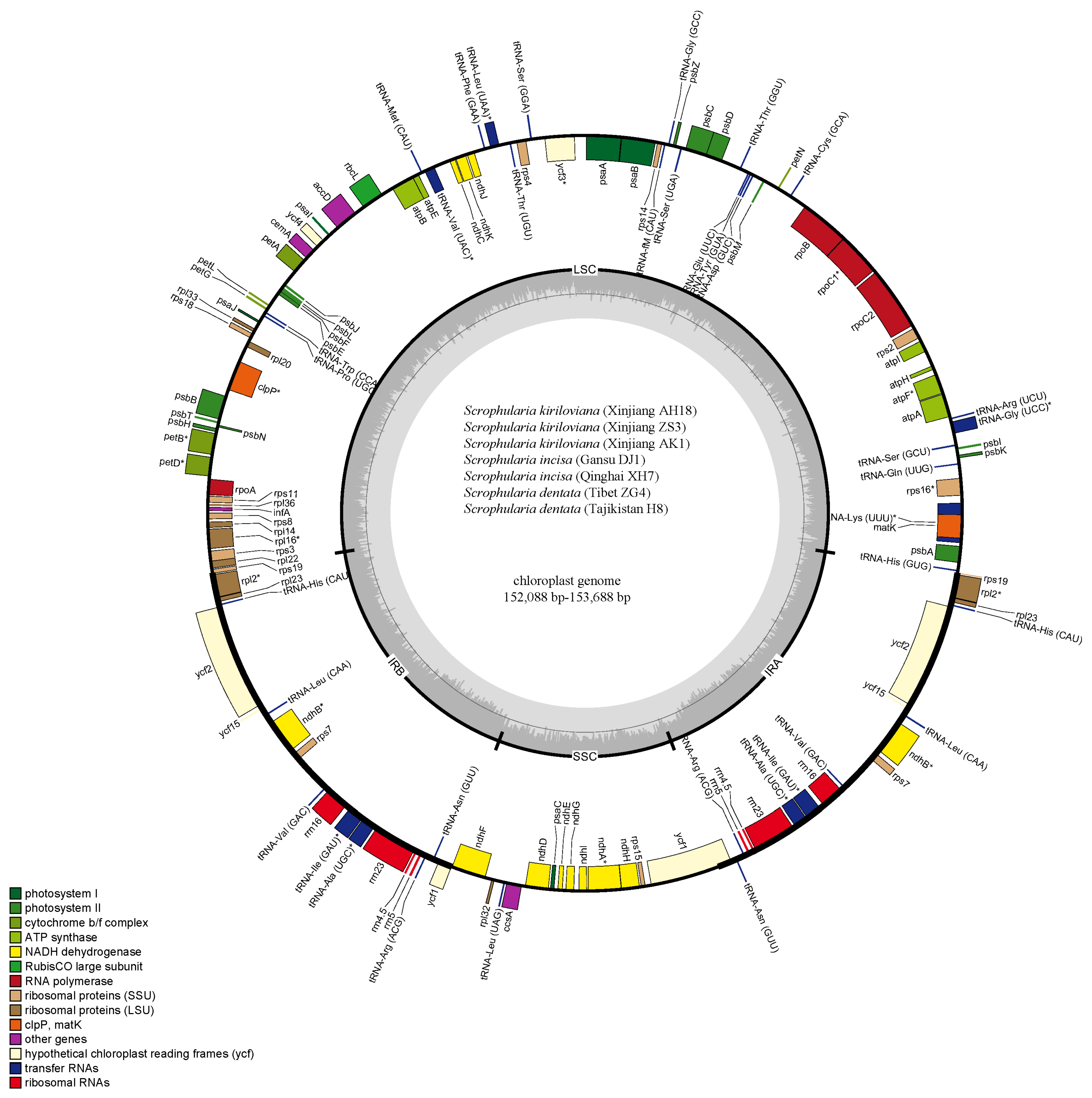 Genes 13 01691 g002 Genes 13 01691 g002