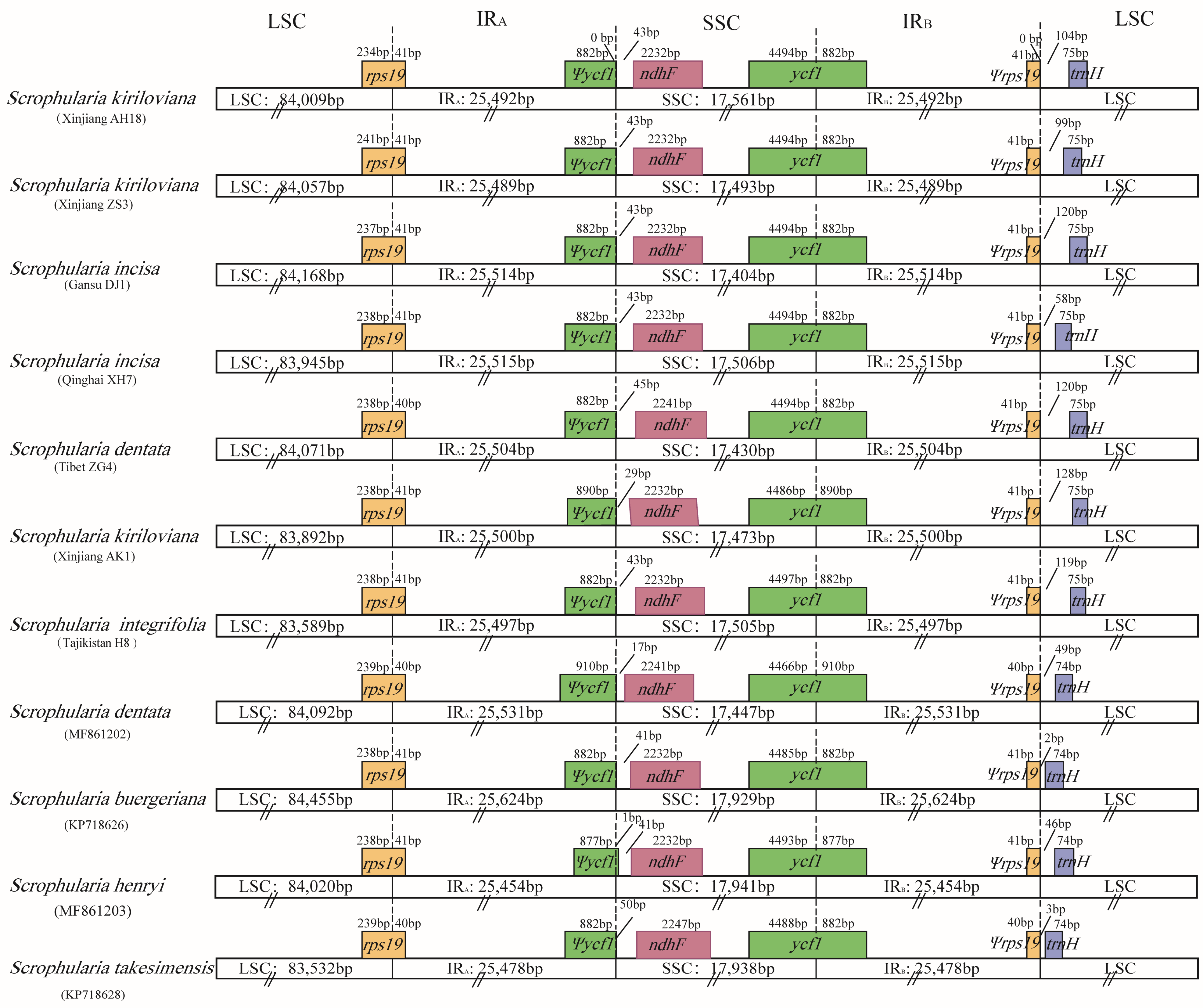 Genes 13 01691 g003 Genes 13 01691 g003