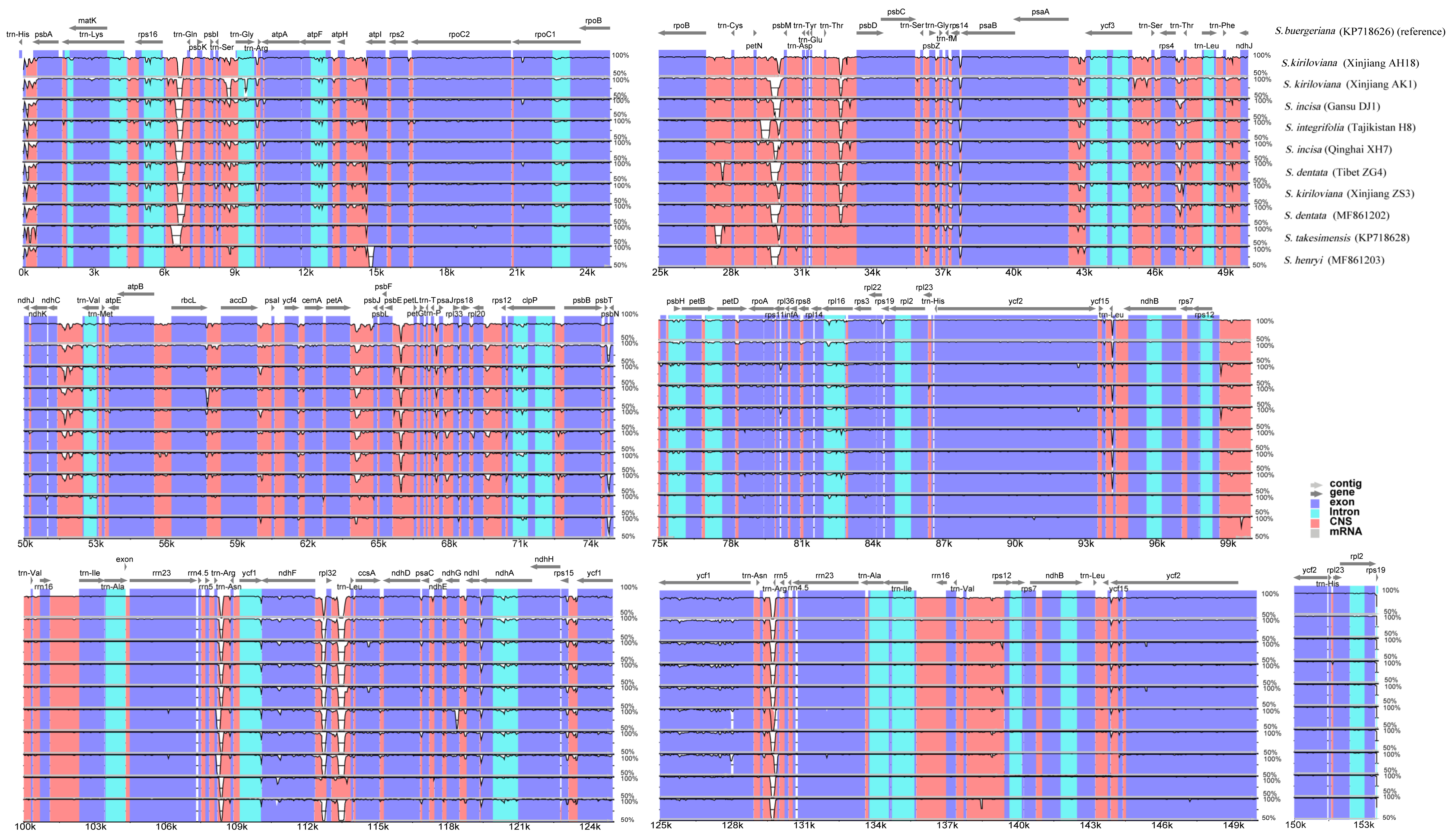 Genes 13 01691 g004 Genes 13 01691 g004