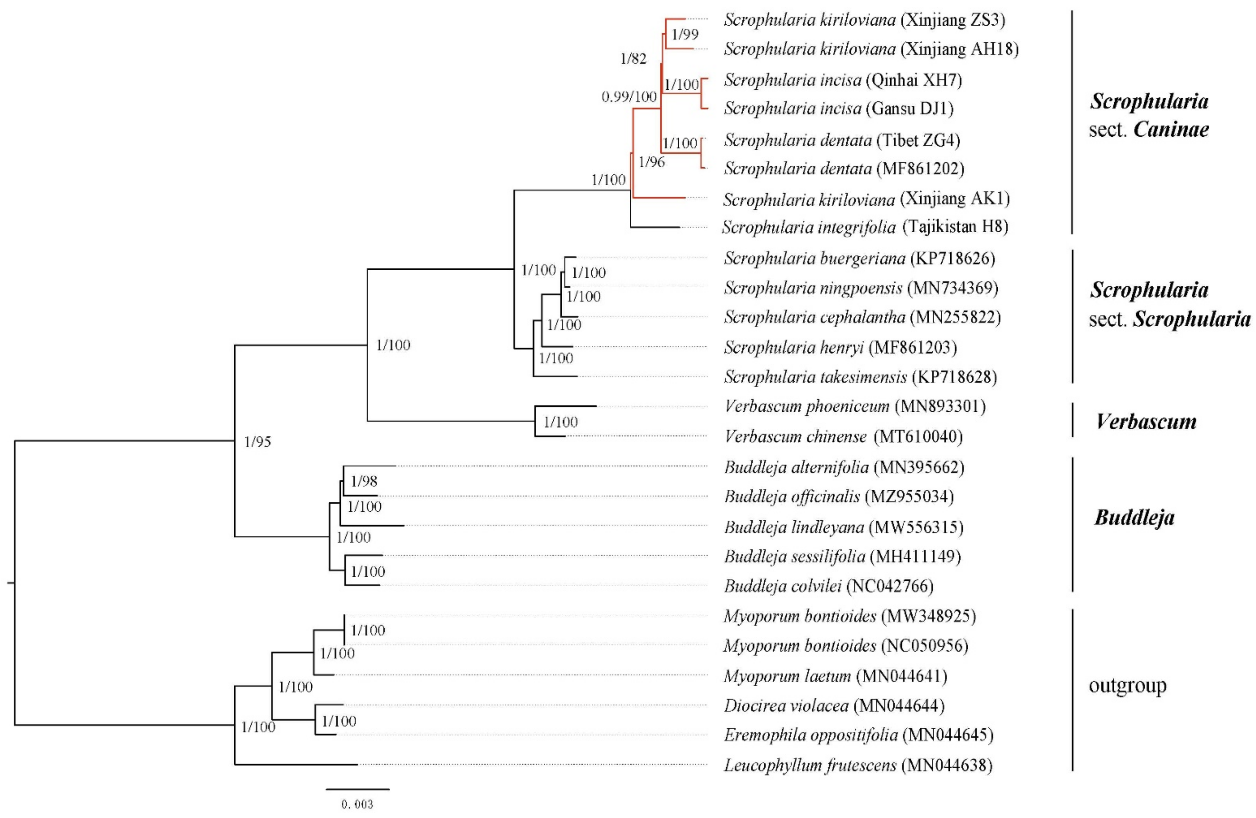 Genes 13 01691 g009 Genes 13 01691 g009