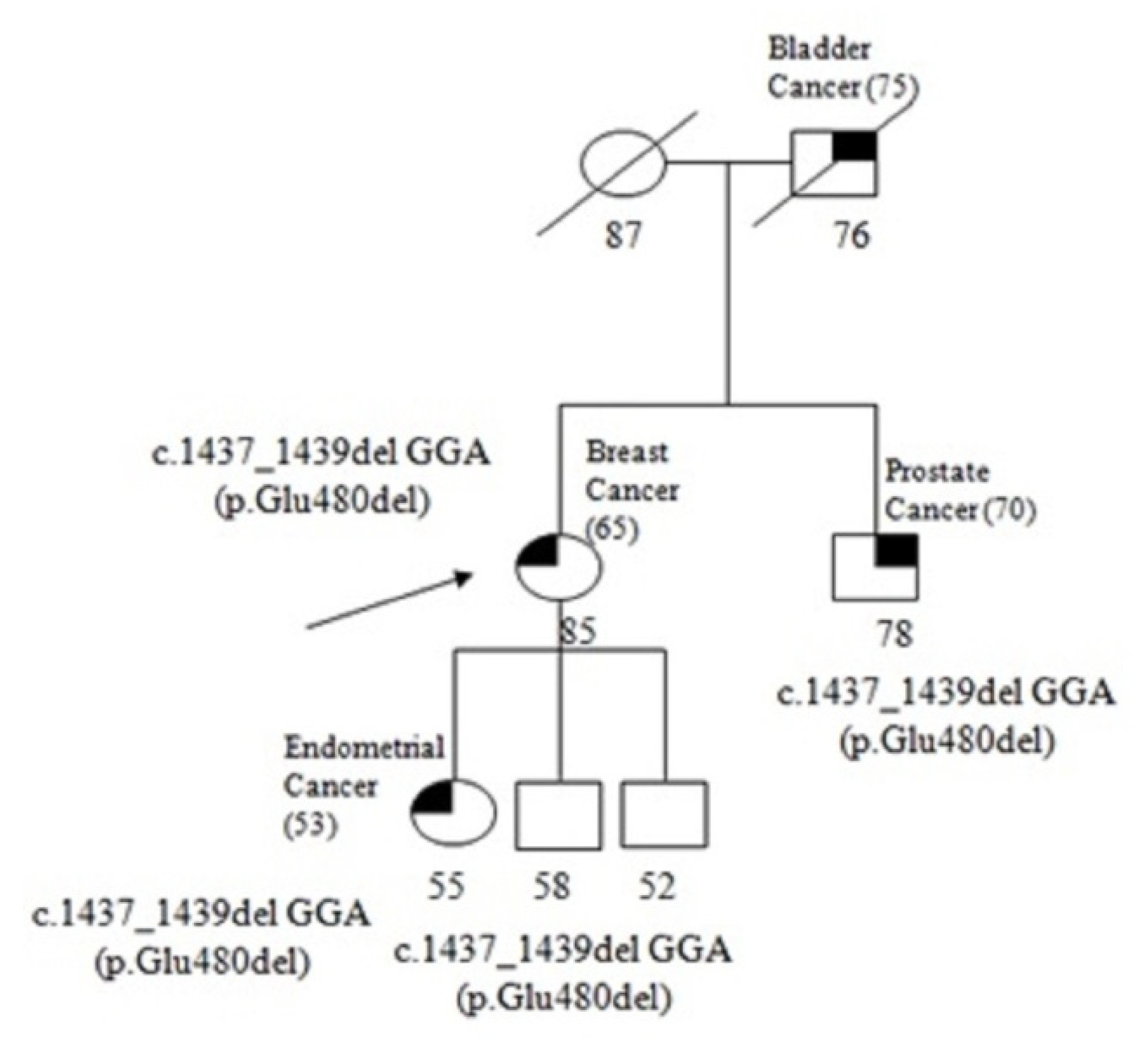 Genes 13 01692 g002 Genes 13 01692 g002
