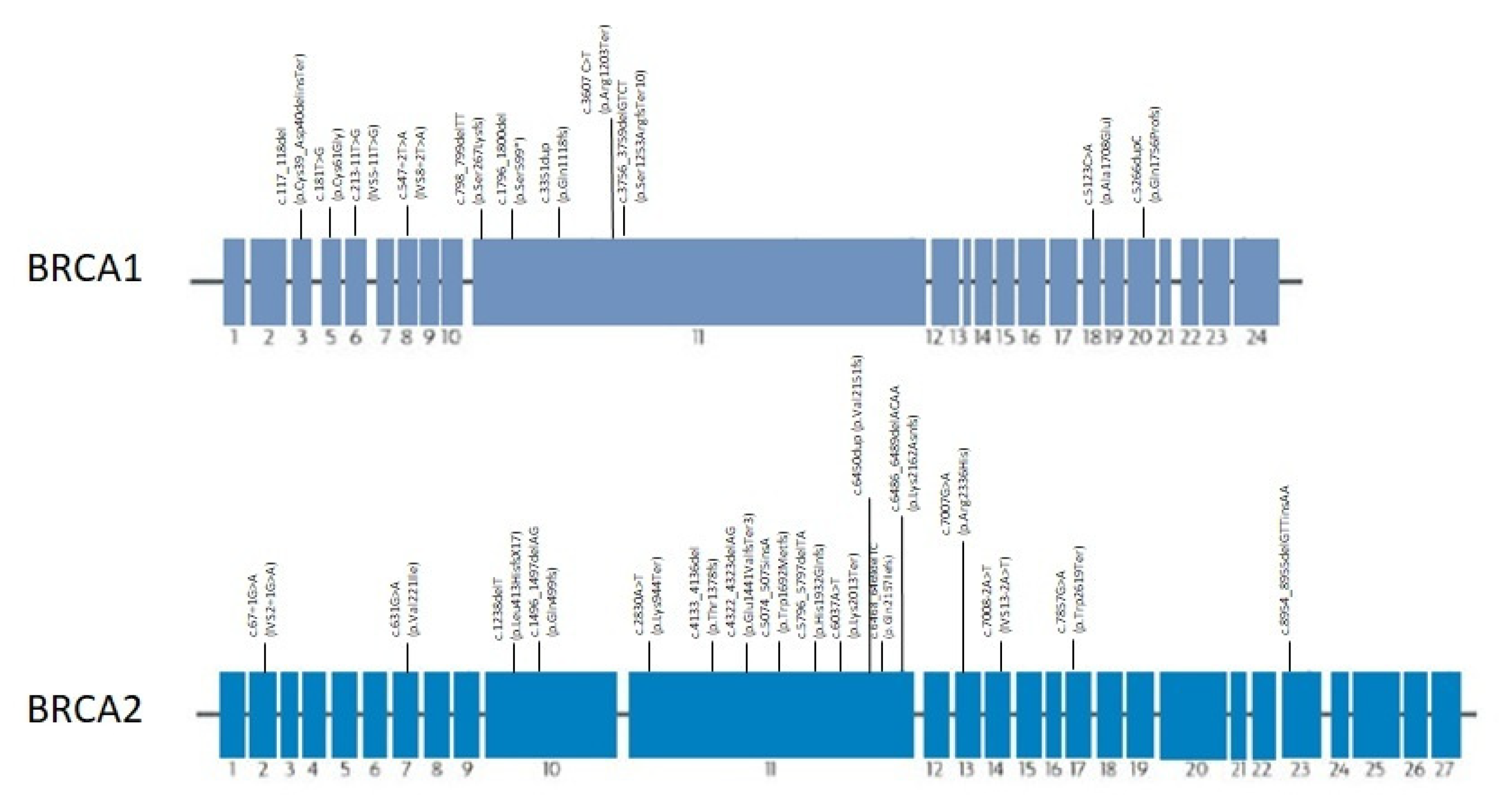 Genes 13 01692 g005 Genes 13 01692 g005